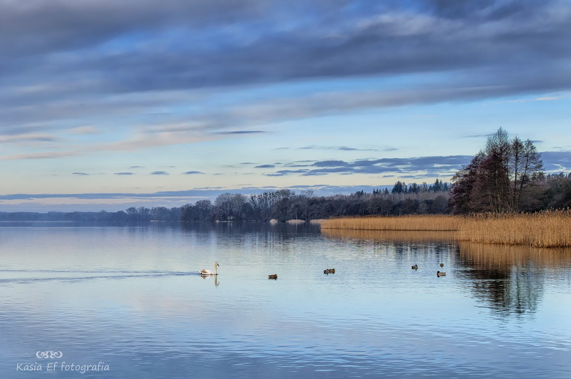 Nikon D300 sample photo. Jezioro lusowskie wlkp pl photography