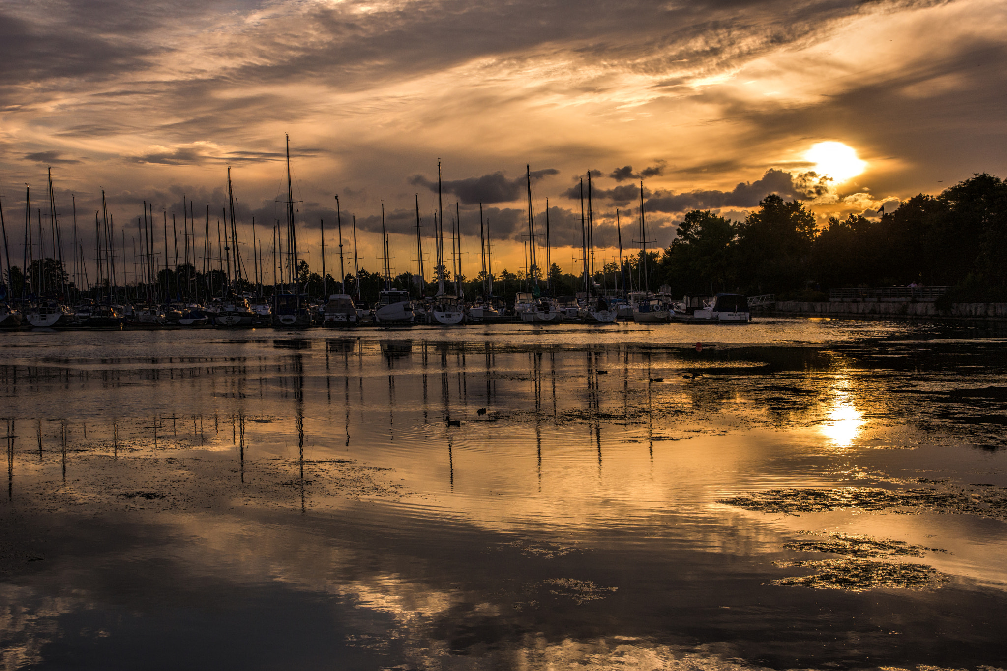 Sony SLT-A65 (SLT-A65V) sample photo. Boat photography