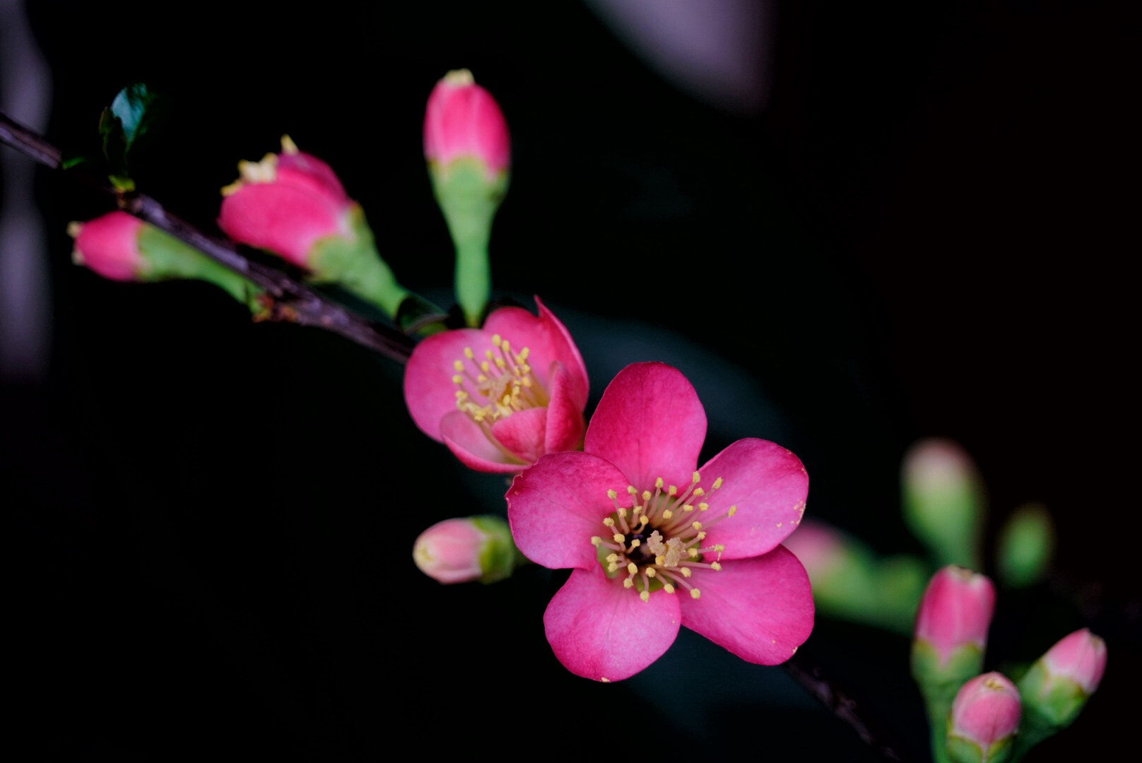 Sony FE 24-240mm F3.5-6.3 OSS sample photo