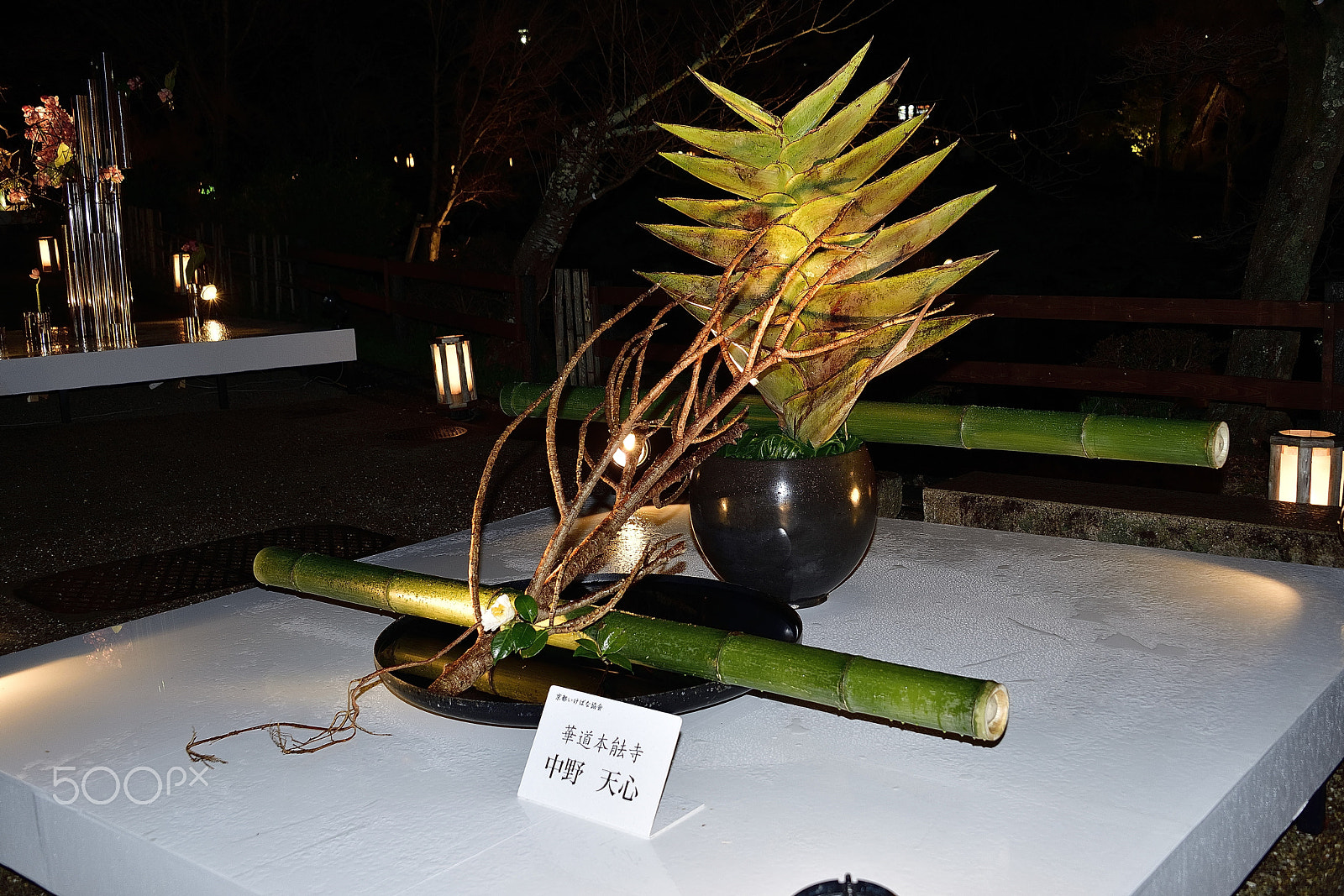 Nikon D800E sample photo. Flower arrangement～京都花灯路～ photography