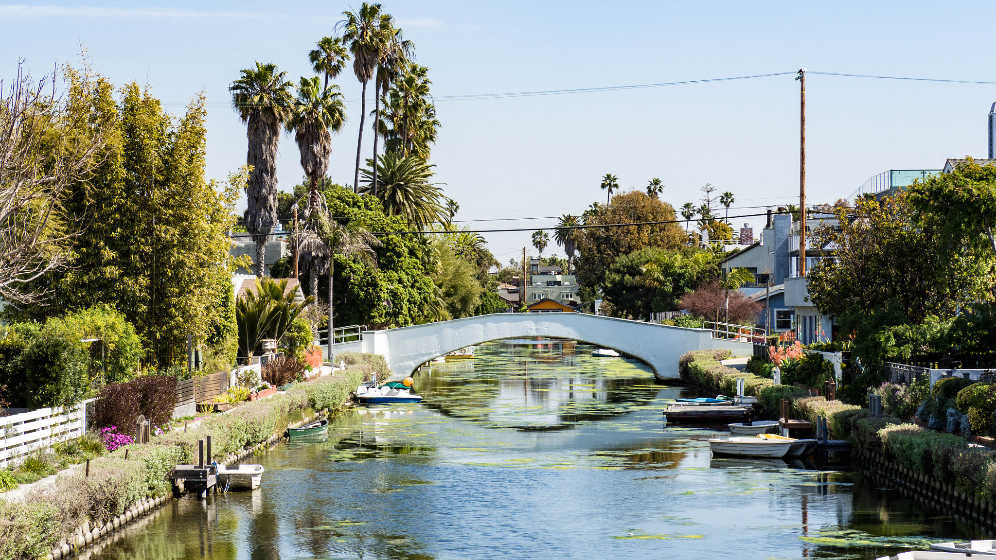 Olympus OM-D E-M10 sample photo. Venice beach photography