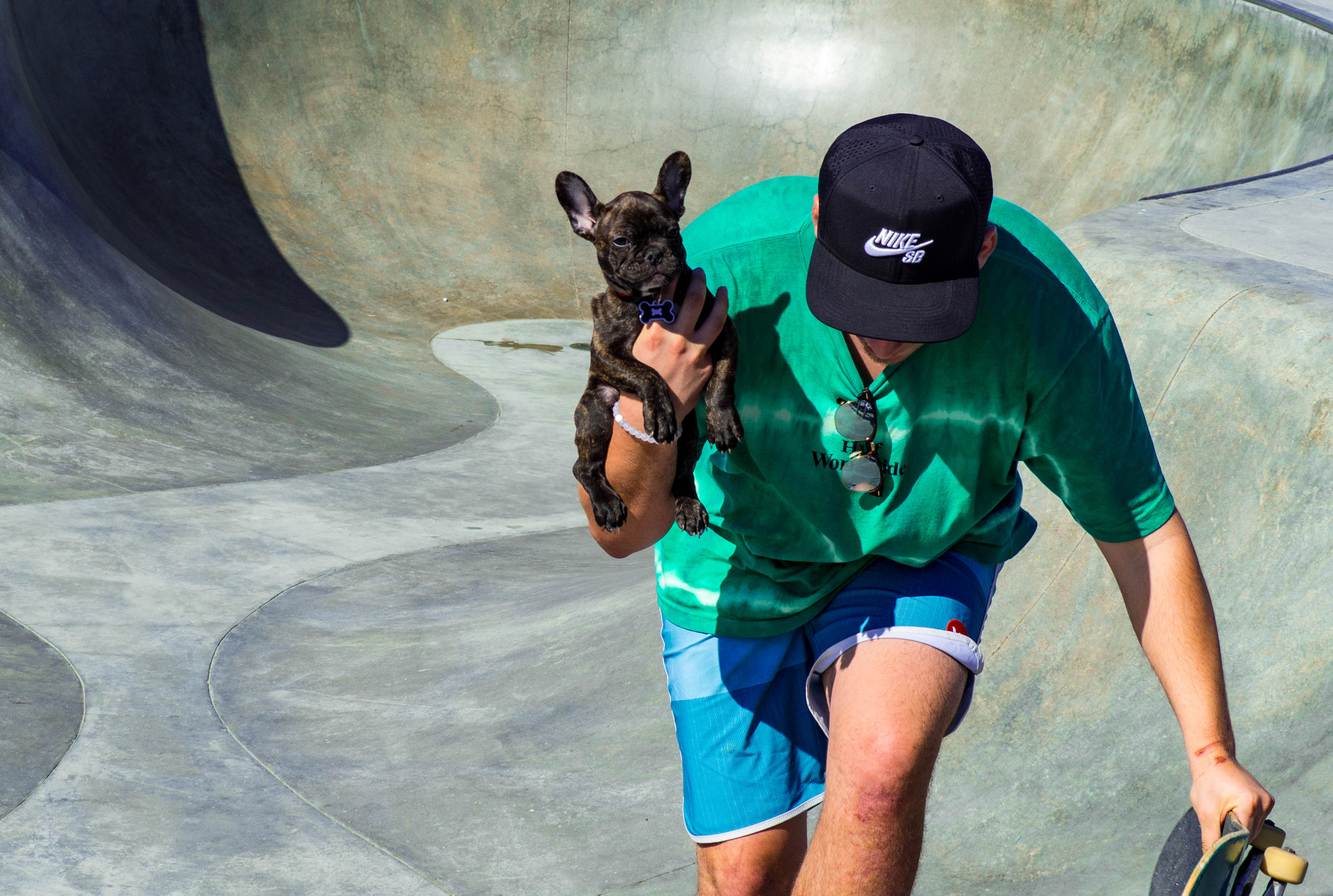 Olympus OM-D E-M10 sample photo. Skate and dog photography