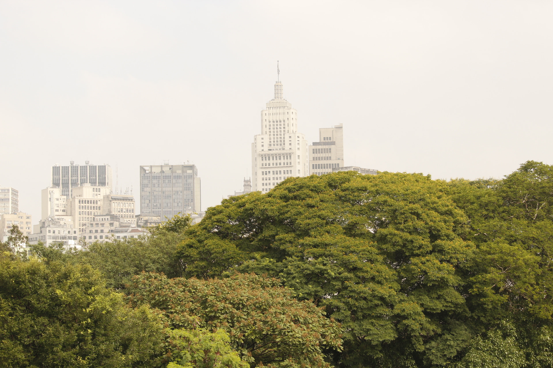 Canon EF-S 55-250mm F4-5.6 IS STM sample photo. City in gray photography