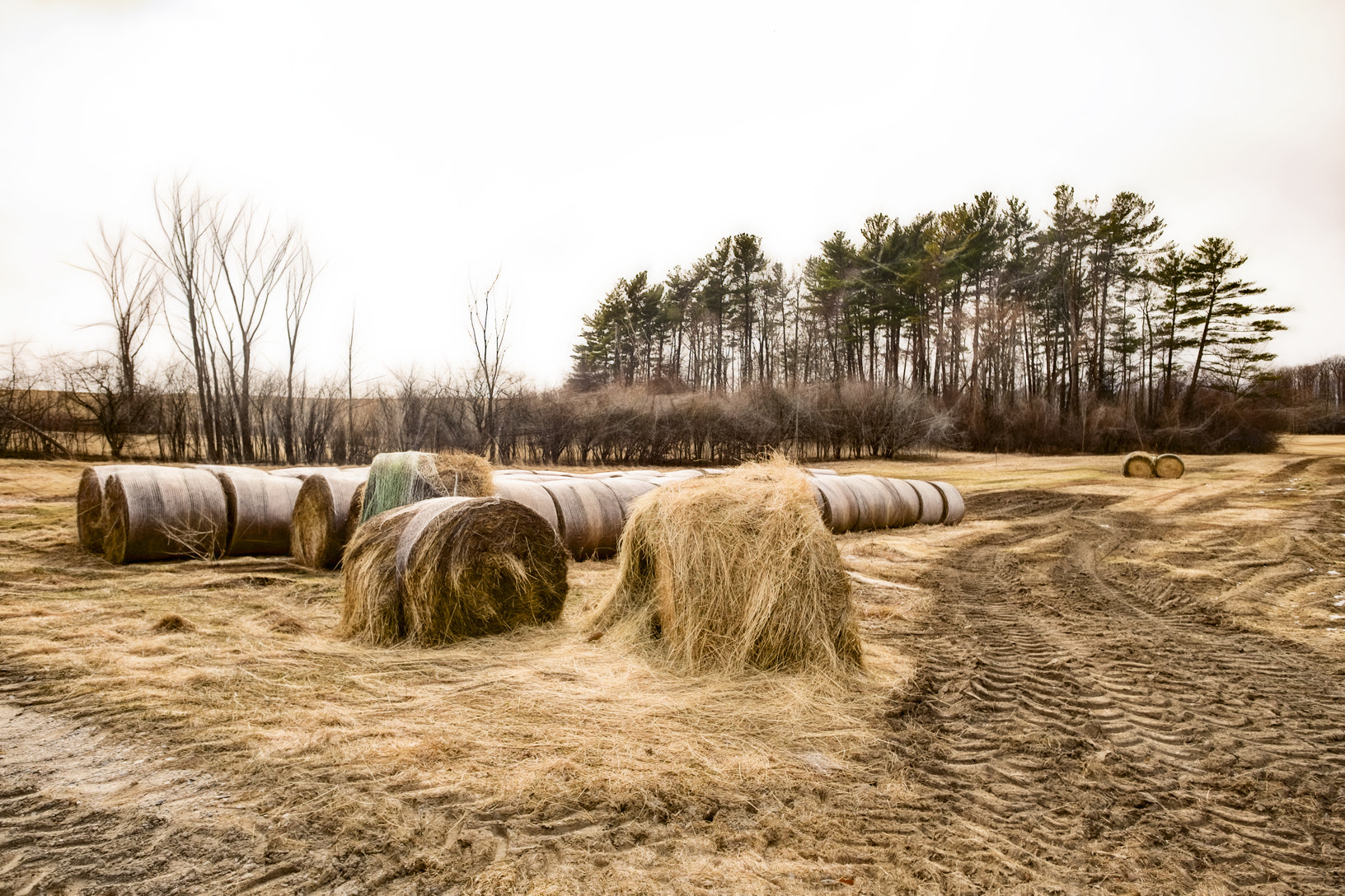 Fujifilm X-T1 + Fujifilm XF 14mm F2.8 R sample photo. Layers of farm photography