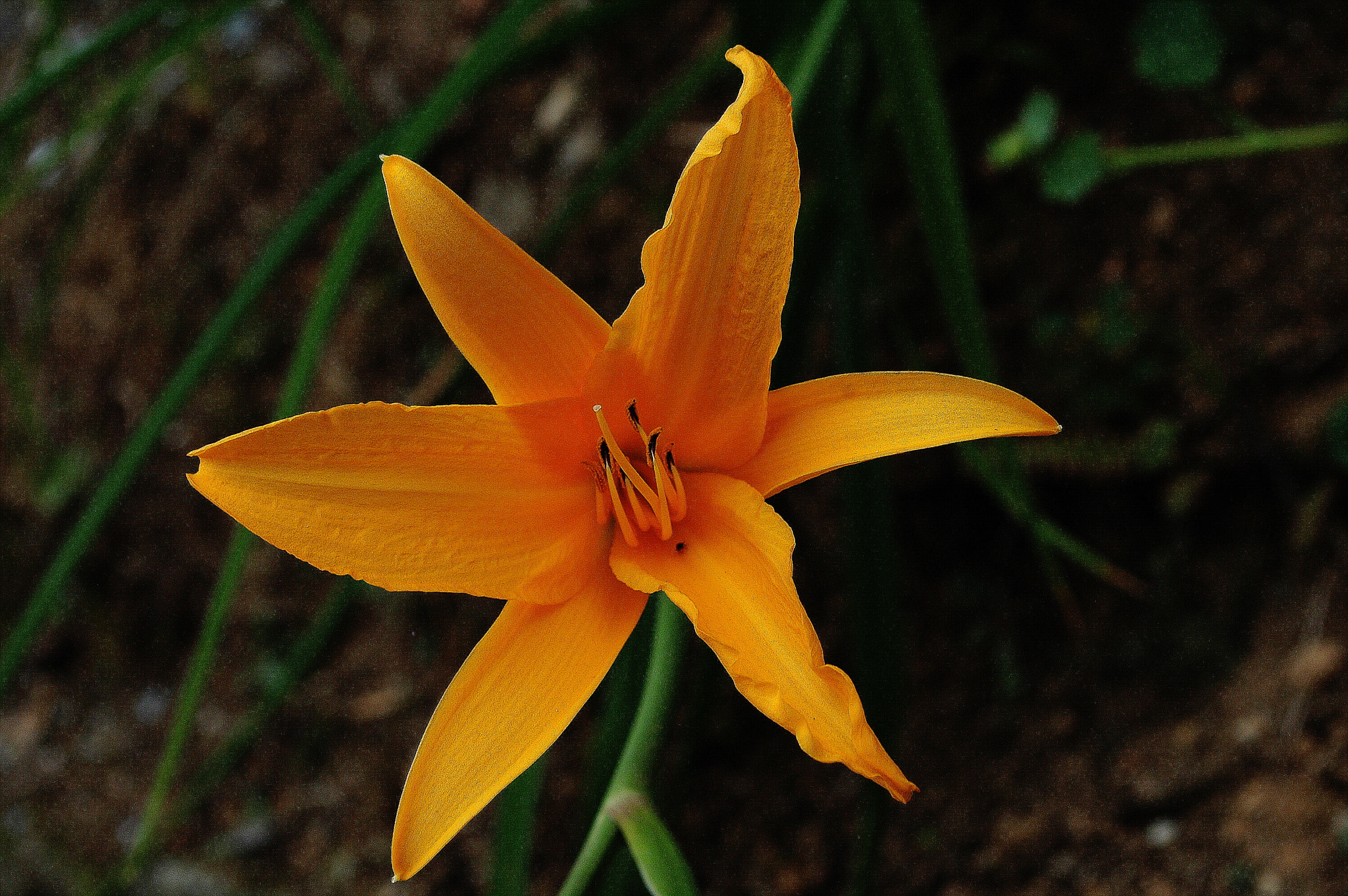 Nikon D70 sample photo. 199.jpg photography