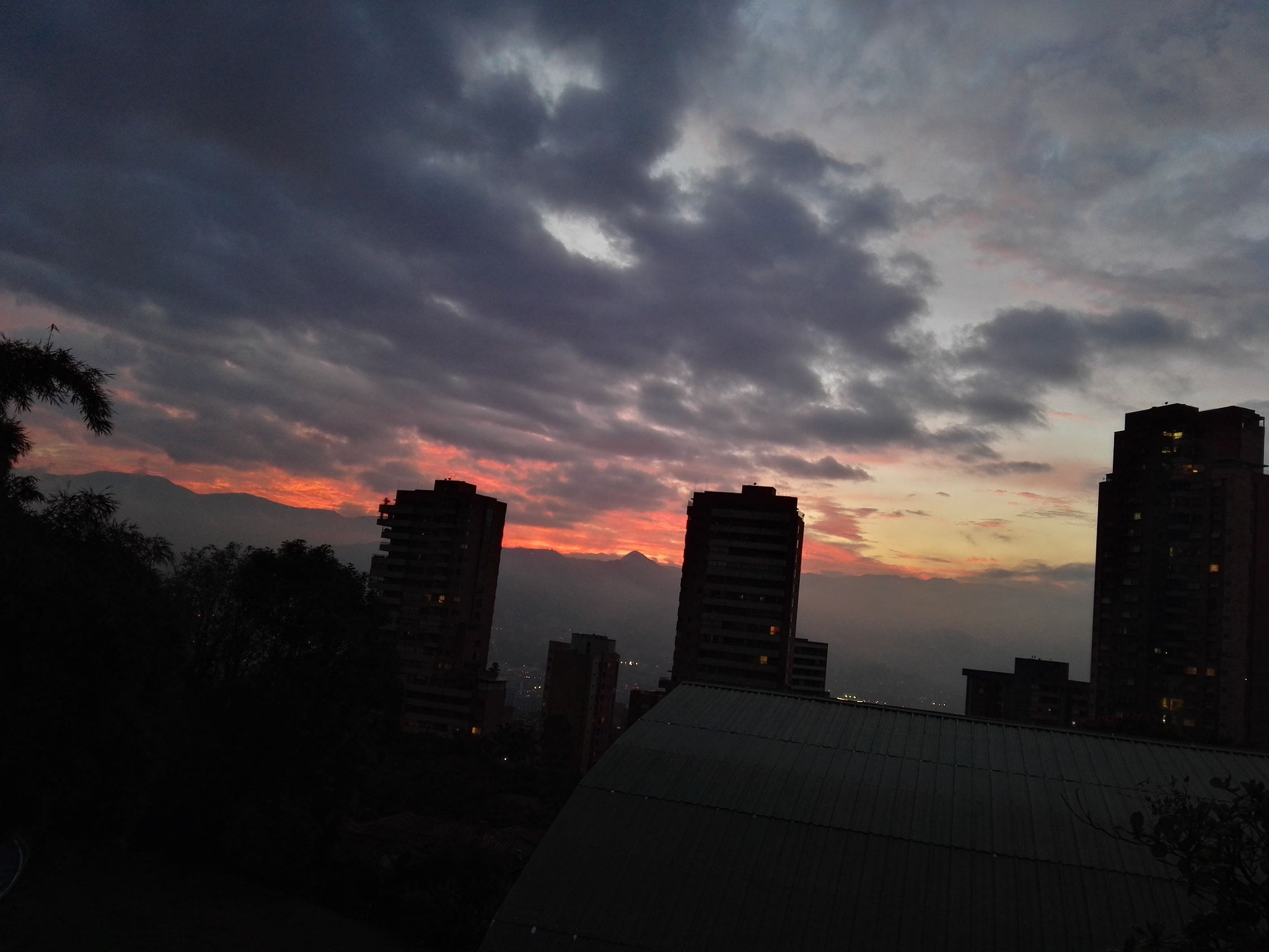 HUAWEI Mate S sample photo. Cruelty photography