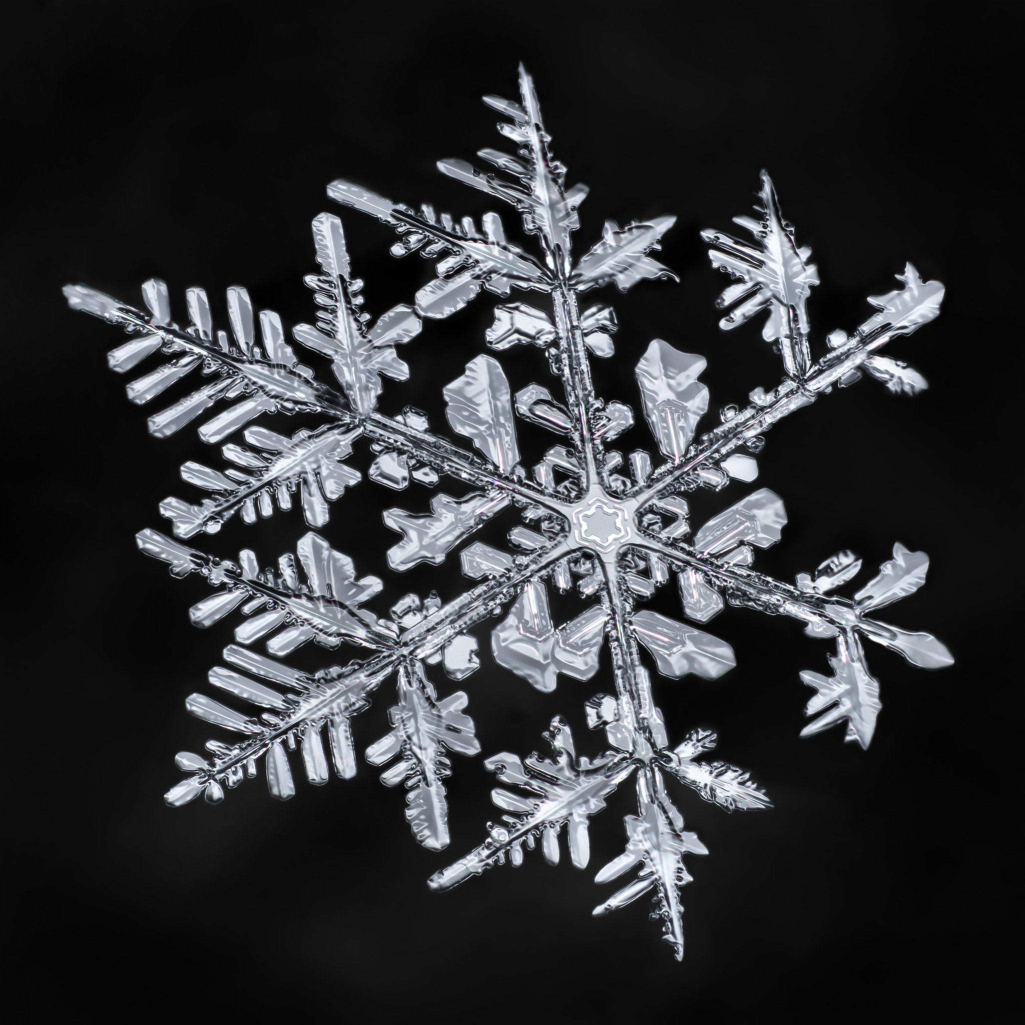 Canon MP-E 65mm F2.5 1-5x Macro Photo sample photo. Snowflake-a-day #64 photography