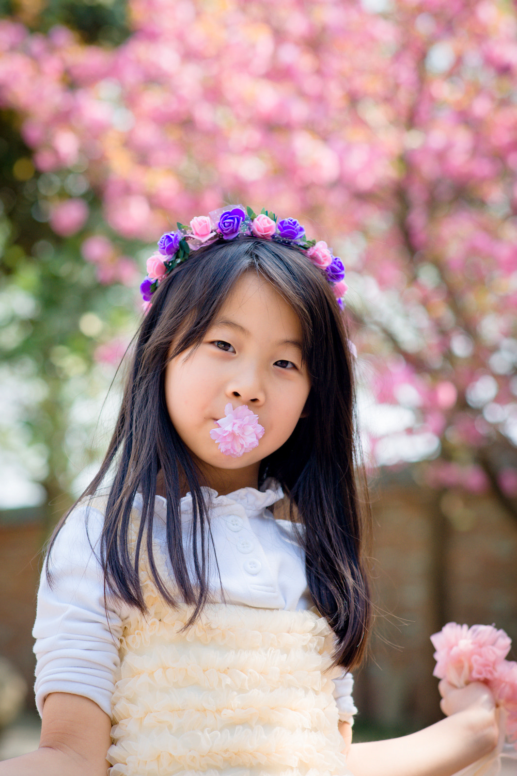 Sony Planar T* 85mm F1.4 ZA sample photo