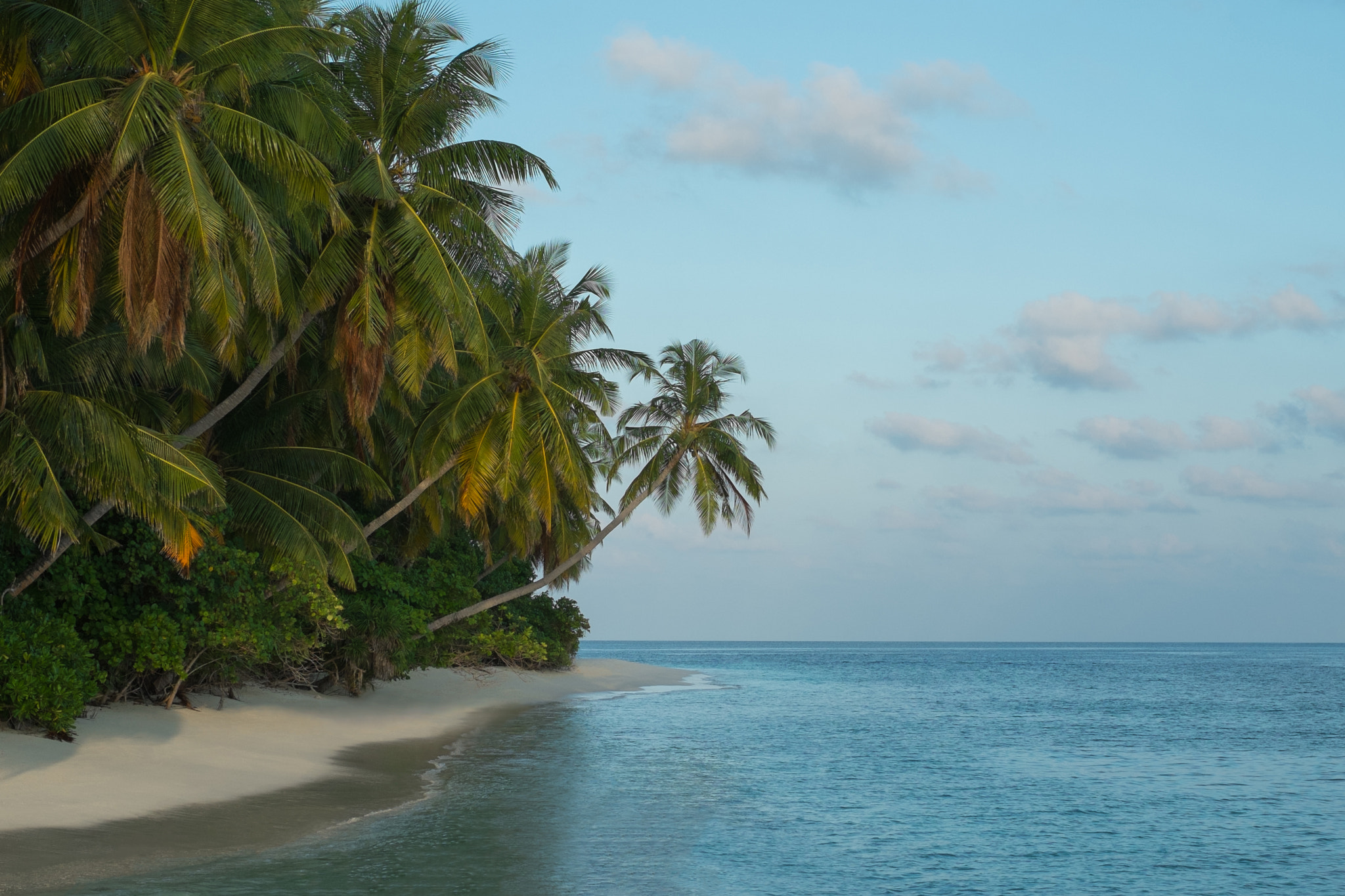 Fujifilm X-Pro1 + Fujifilm XF 35mm F1.4 R sample photo. Rinbudhoo island, dhoores atoll, maldives photography
