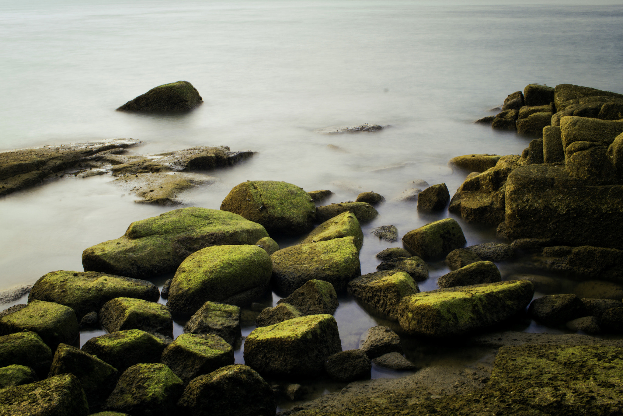 Canon EF-S 24mm F2.8 STM sample photo. Greenstone photography