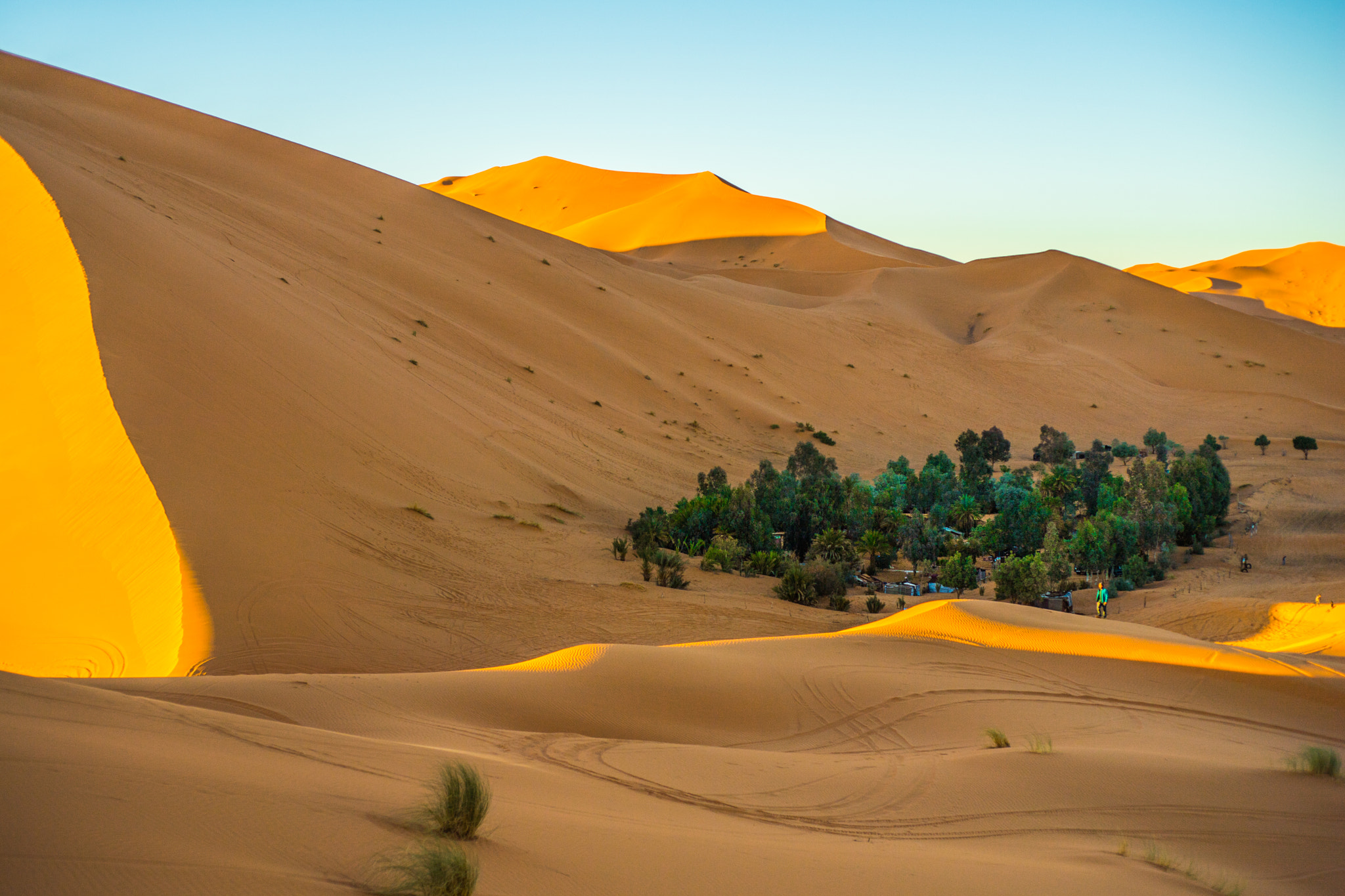 Nikon D5 + Nikon AF Nikkor 50mm F1.8D sample photo. Merzouga the golden dunes photography