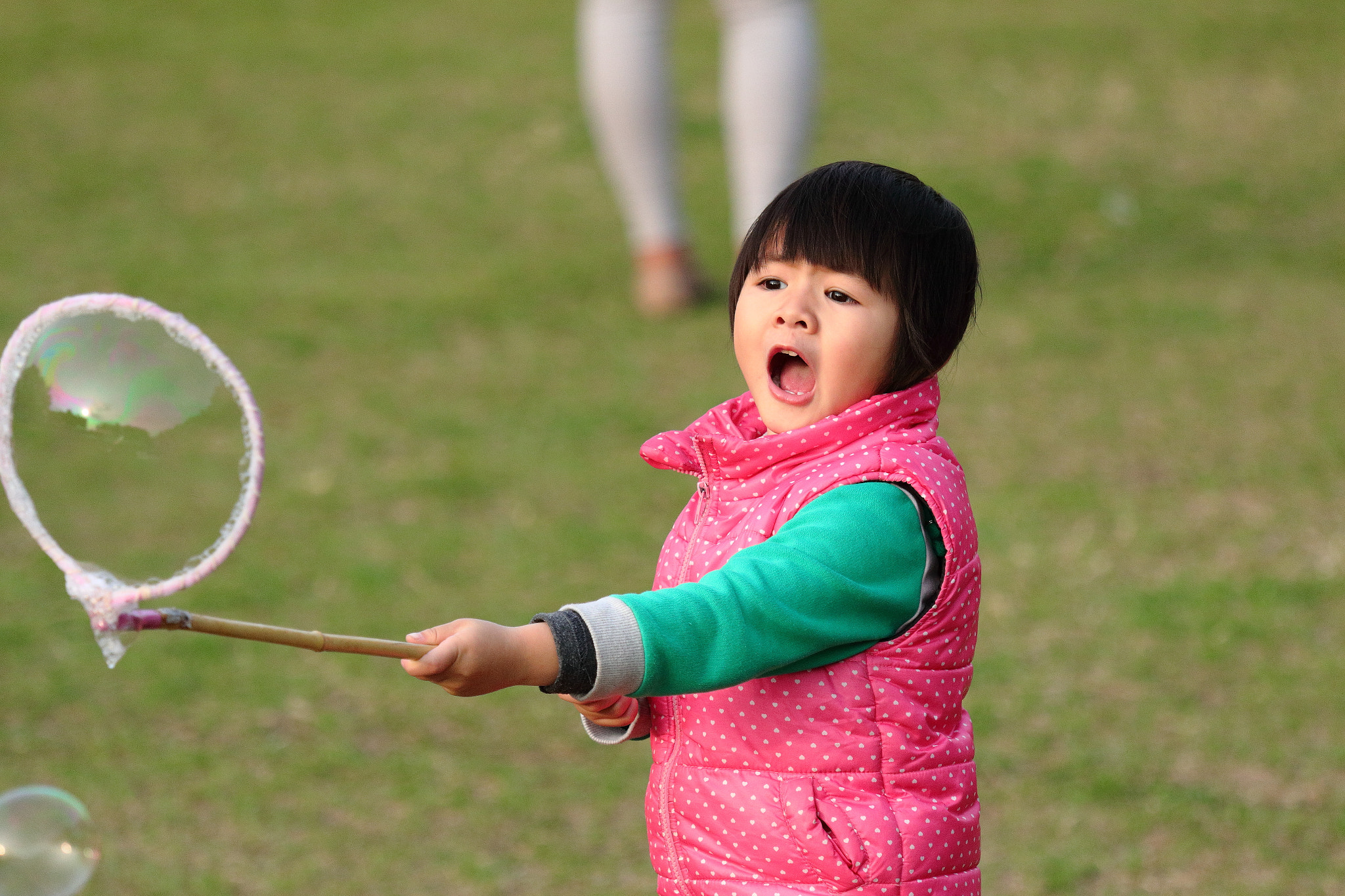 Canon EOS 70D + Canon EF 70-200mm F4L IS USM sample photo. Img_1396m 啊~~ photography