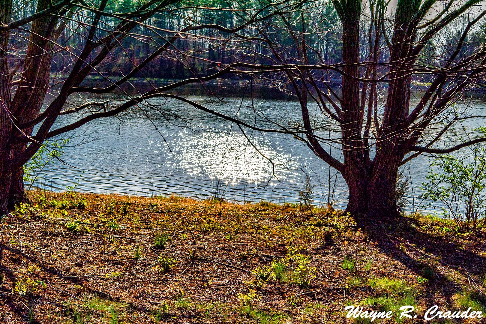 Panasonic Lumix DMC-GF5 + LUMIX G 25/F1.7 sample photo. Bernheim march photography