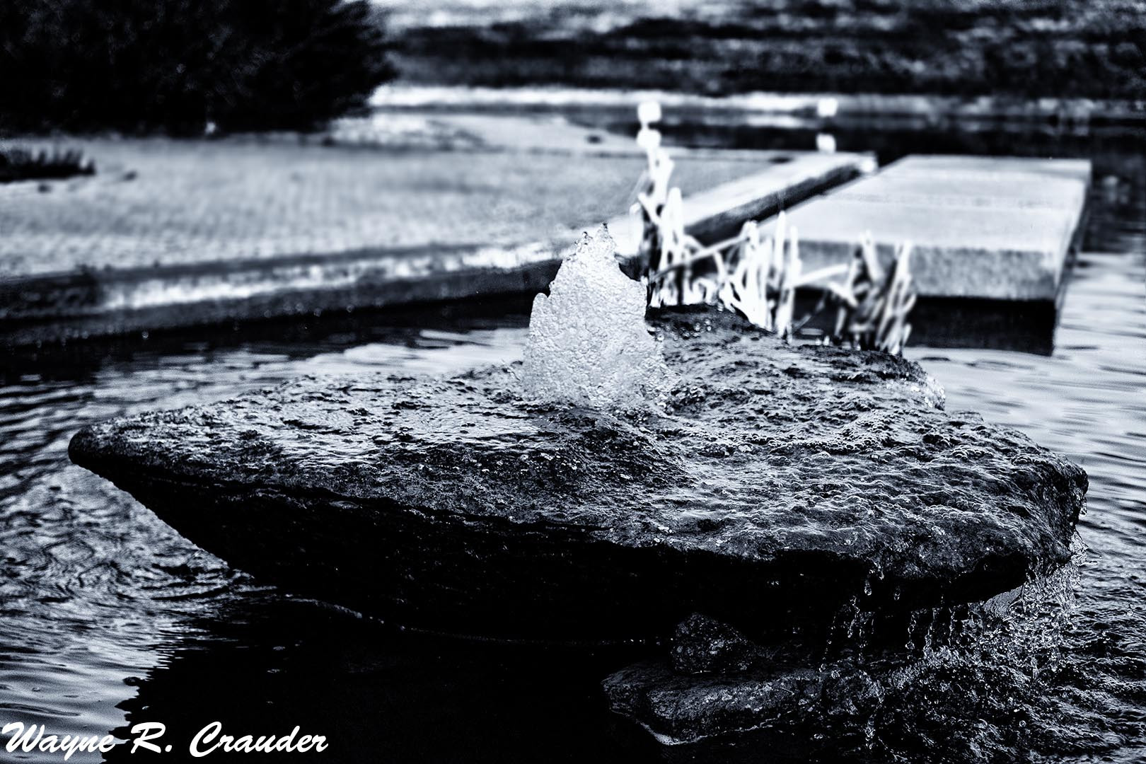 Panasonic Lumix DMC-GF5 + LUMIX G 25/F1.7 sample photo. Bernheim march photography
