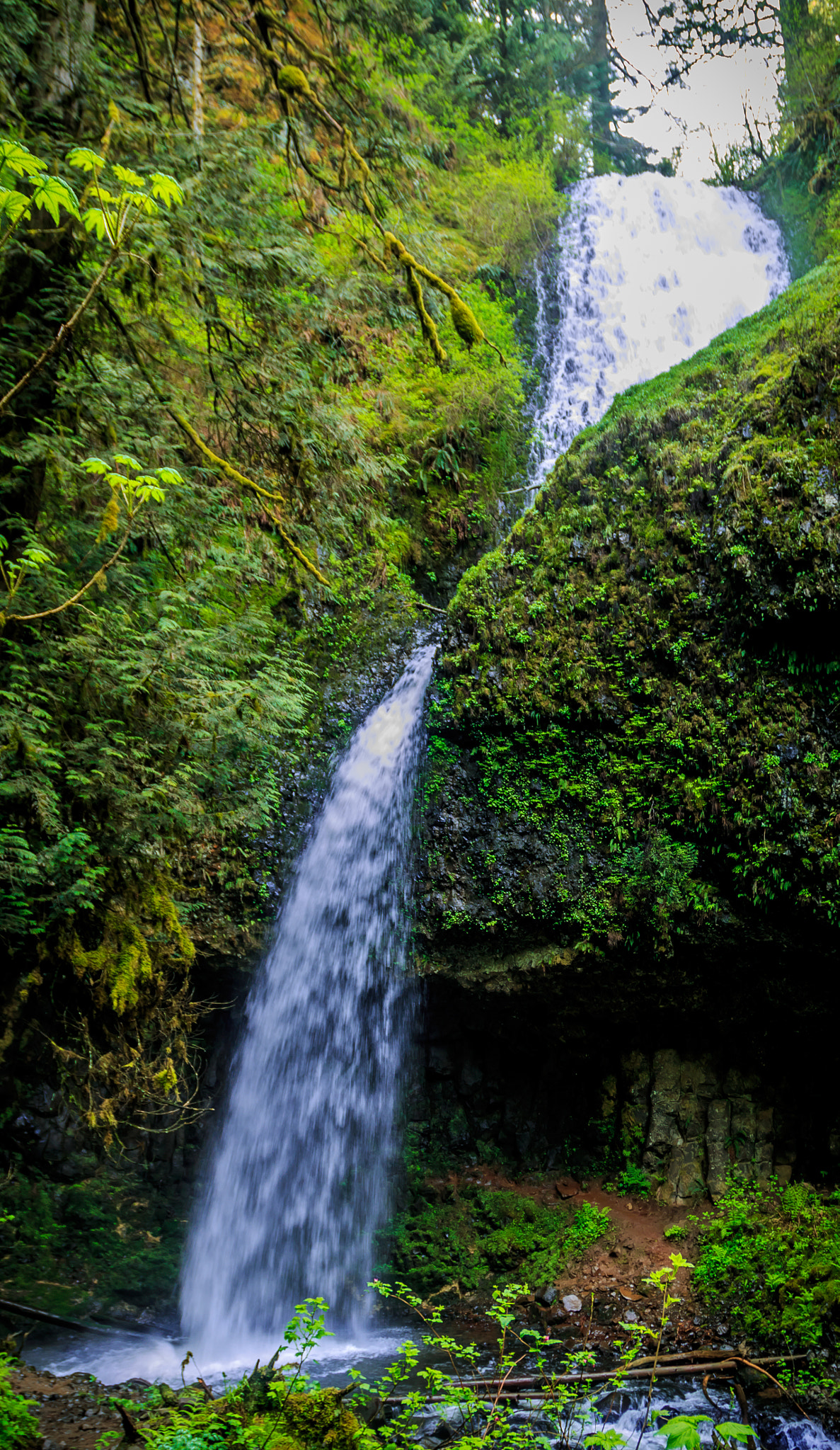 Canon EOS 70D + Canon EF 17-40mm F4L USM sample photo. Upper latourell falls  - spring photography