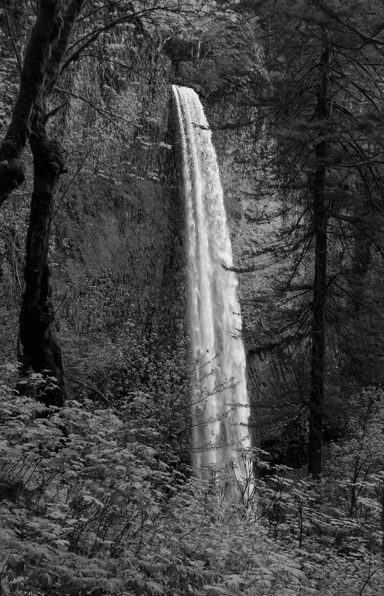 Canon EOS 70D + Canon EF 17-40mm F4L USM sample photo. Latourell falls photography
