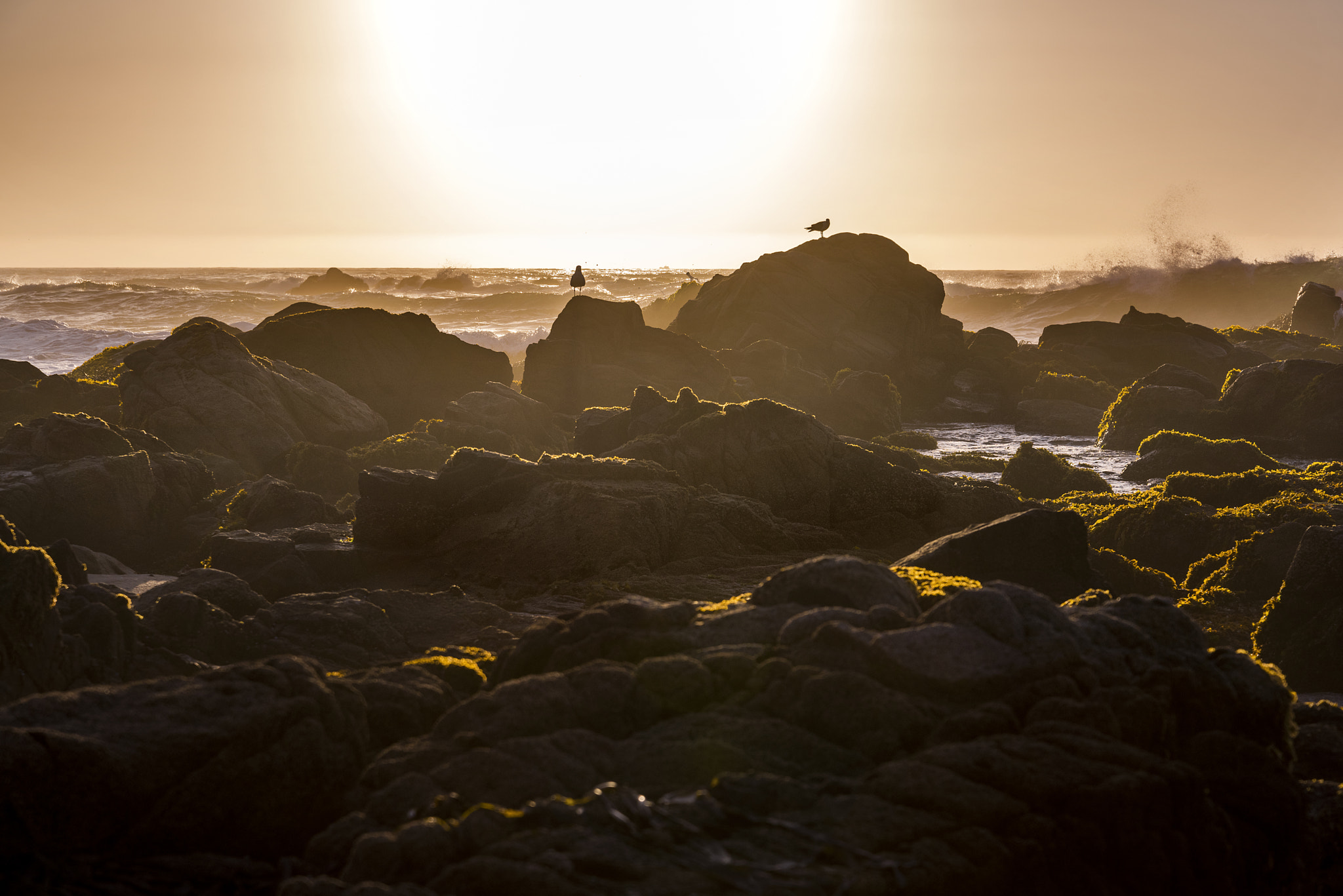 Nikon D810 sample photo
