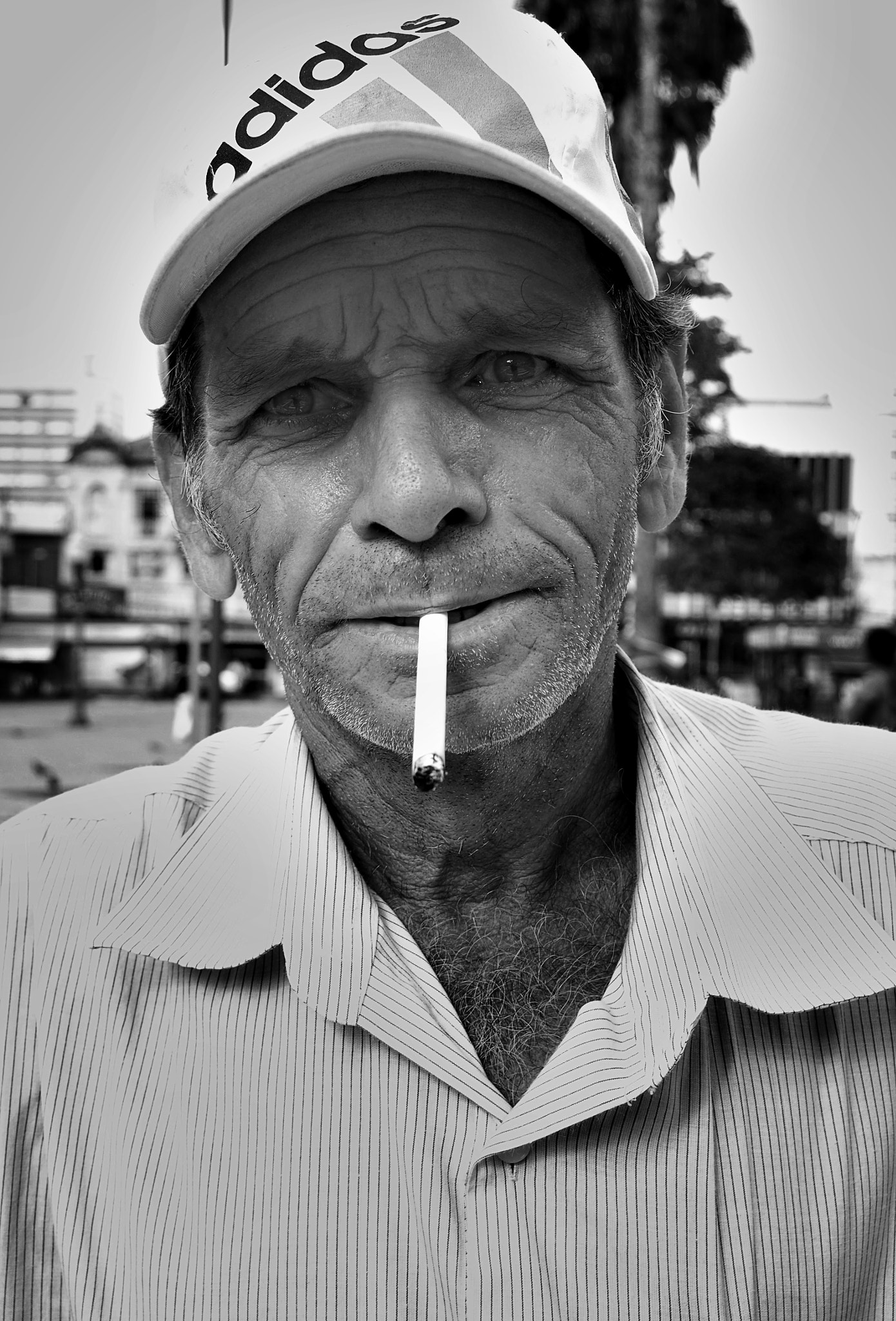 Olympus OM-D E-M5 sample photo. A window called a lens - campinas by chance 2017 photography
