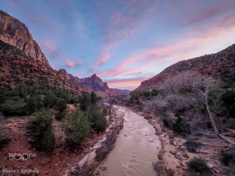 Olympus M.Zuiko Digital ED 7-14mm F2.8 PRO sample photo. Zion national park viii photography