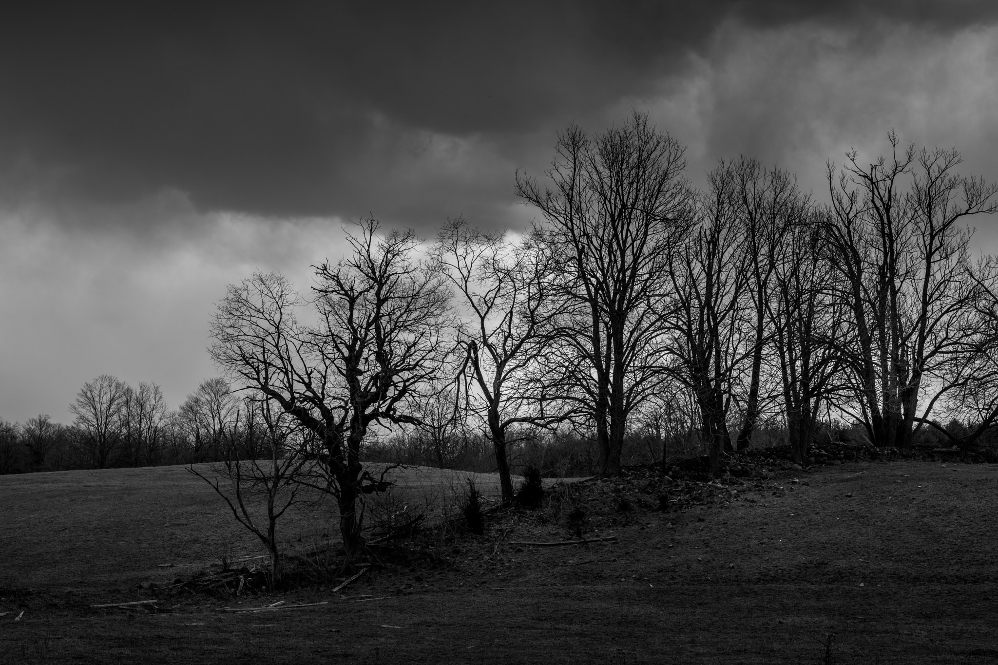Nikon D7100 sample photo. Cloudy skies over a wind swept field with trees. photography
