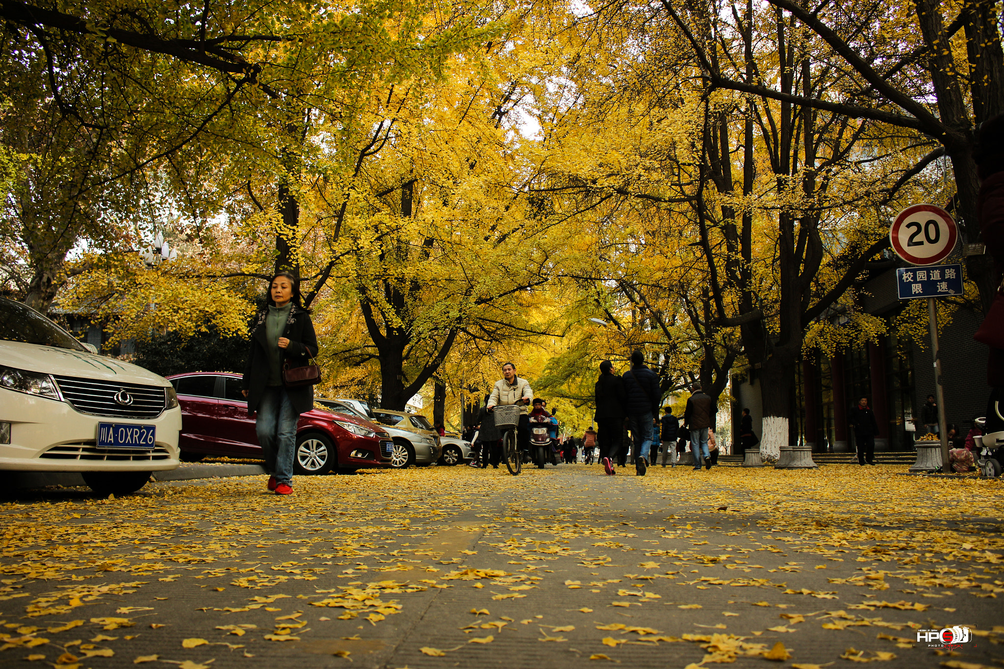 Canon EOS 650D (EOS Rebel T4i / EOS Kiss X6i) sample photo. "colours of winter" photography