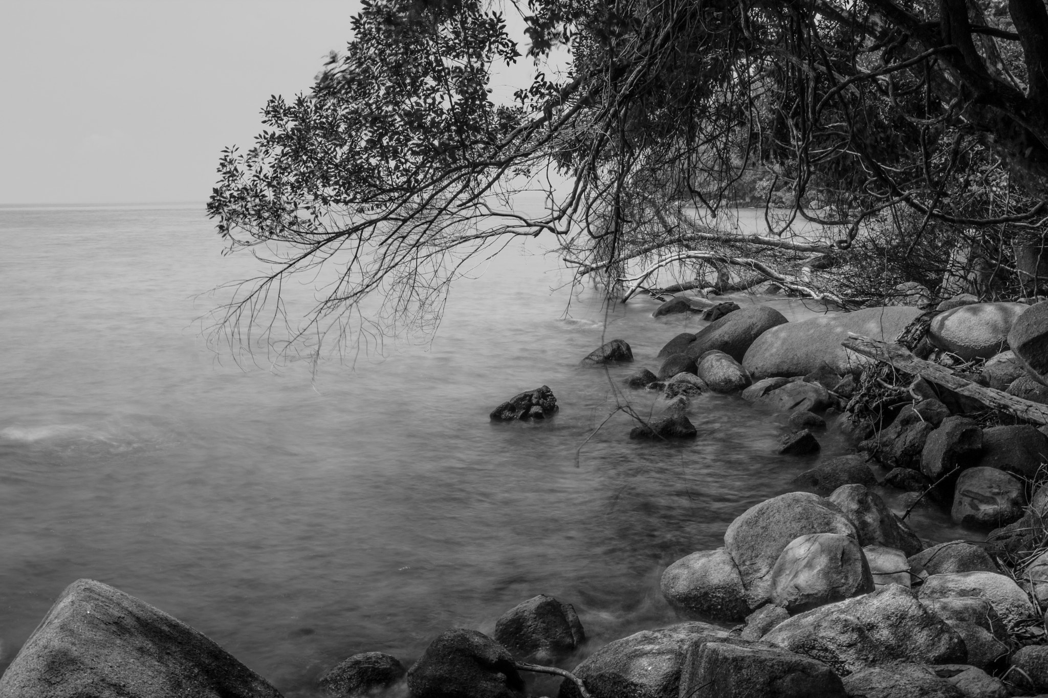 Canon EF-S 24mm F2.8 STM sample photo. Landscape in black photography
