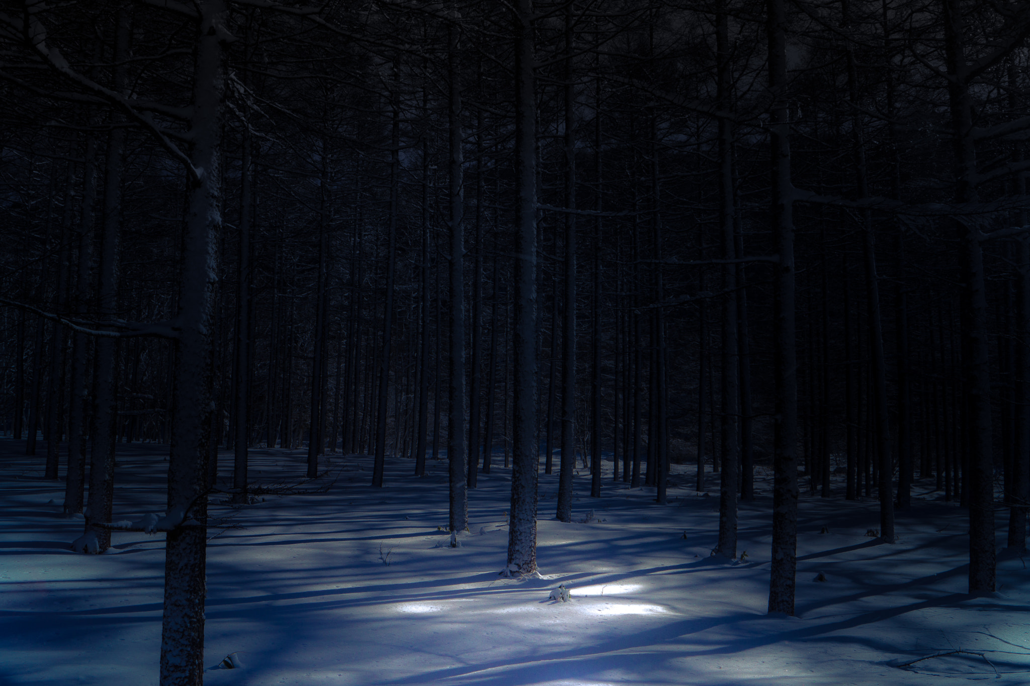 Sony SLT-A65 (SLT-A65V) + Sony DT 18-55mm F3.5-5.6 SAM sample photo. Yuragi photography