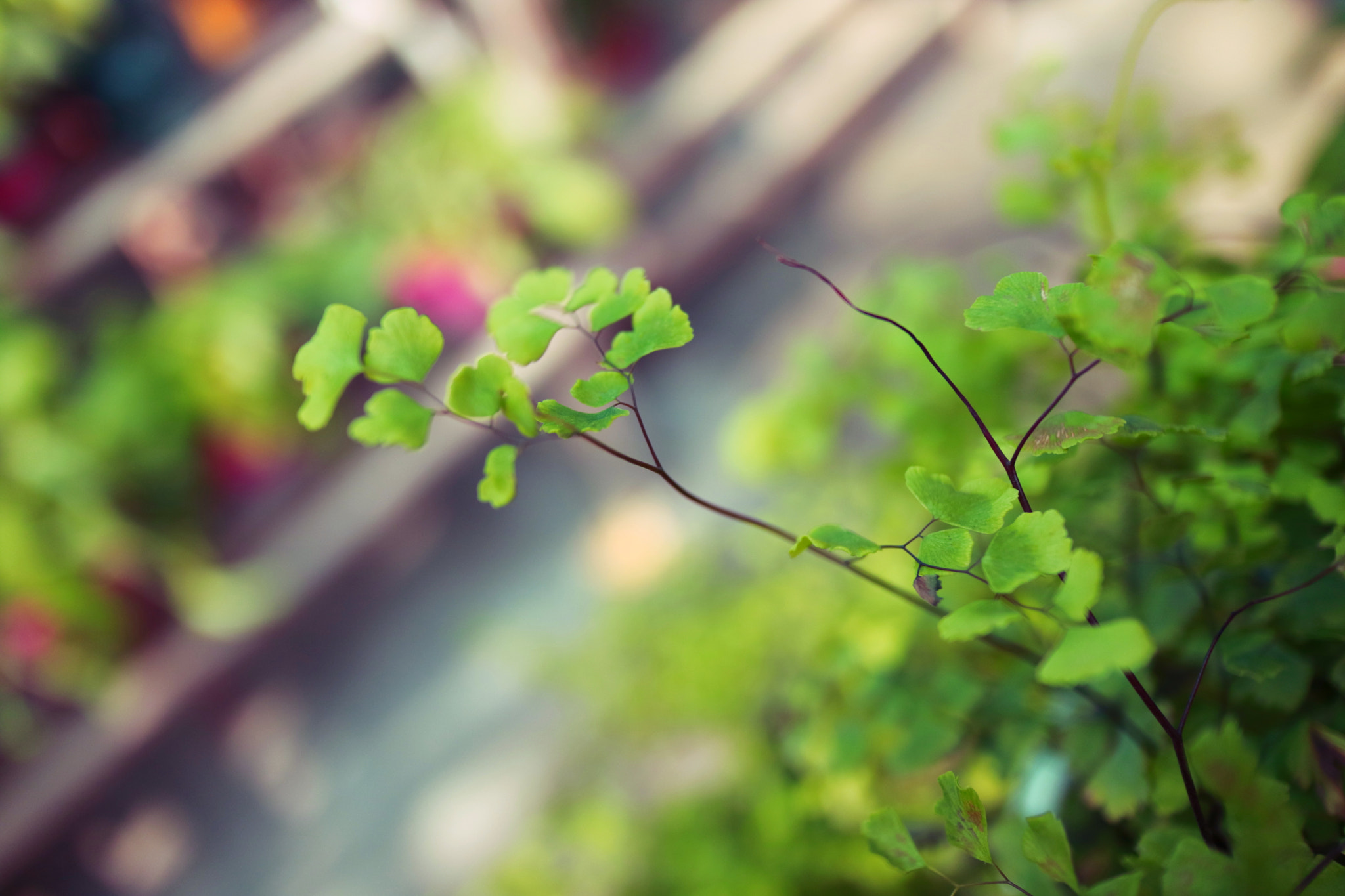 Canon EOS M3 + Canon EF-M 22mm F2 STM sample photo. Img photography