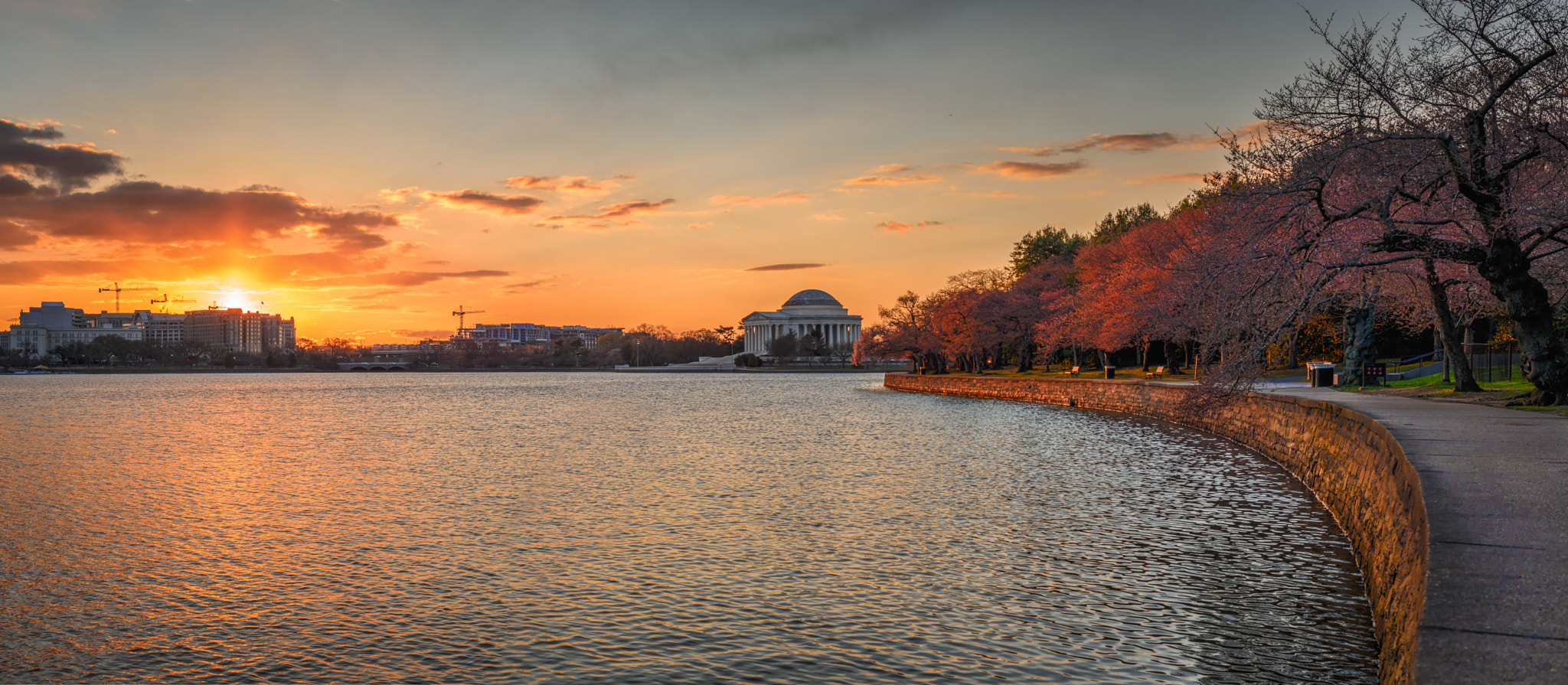 ZEISS Planar T* 50mm F1.4 sample photo. Cherry blossom sunrise photography