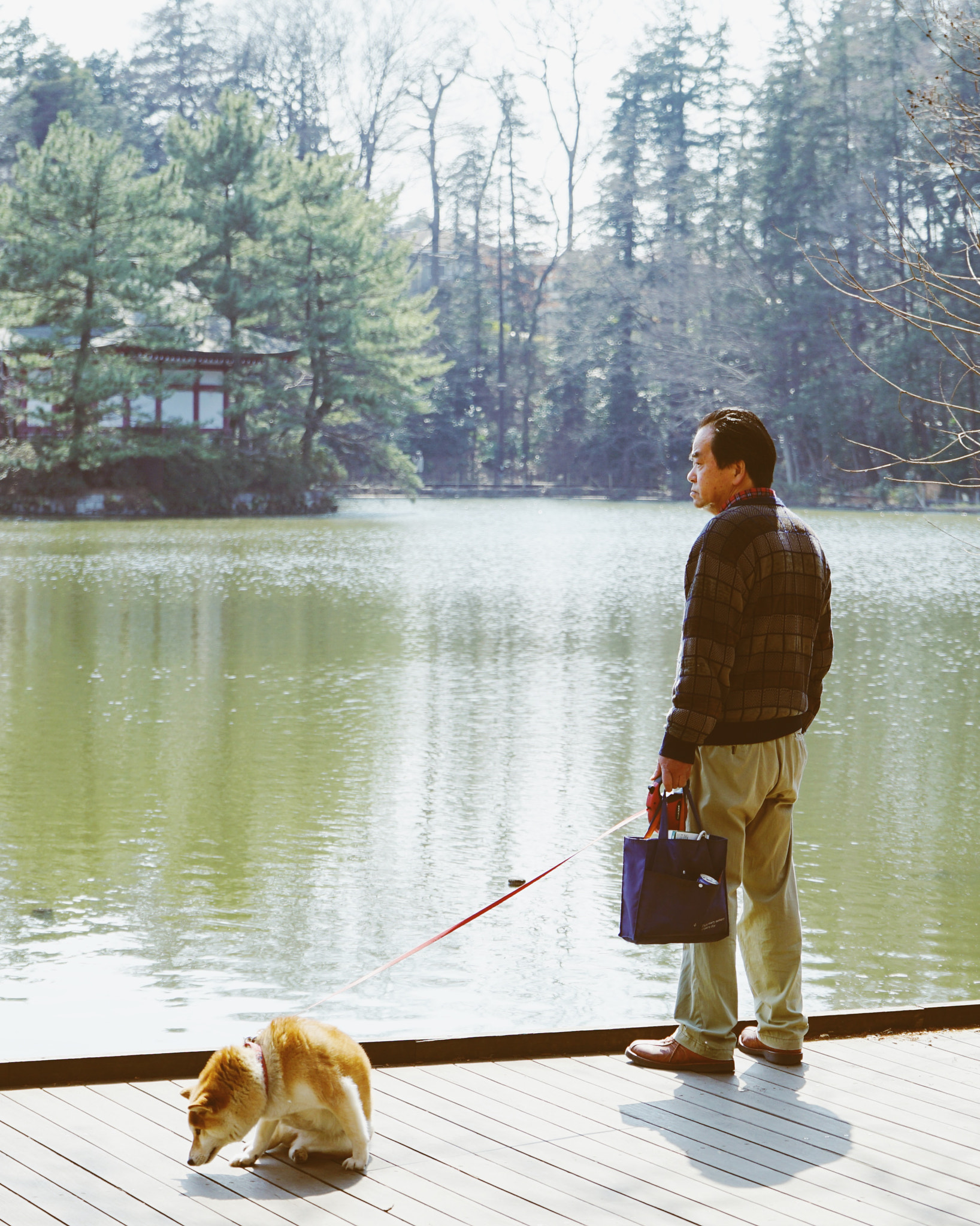 Sony FE 28-70mm F3.5-5.6 OSS sample photo. No country for old men photography