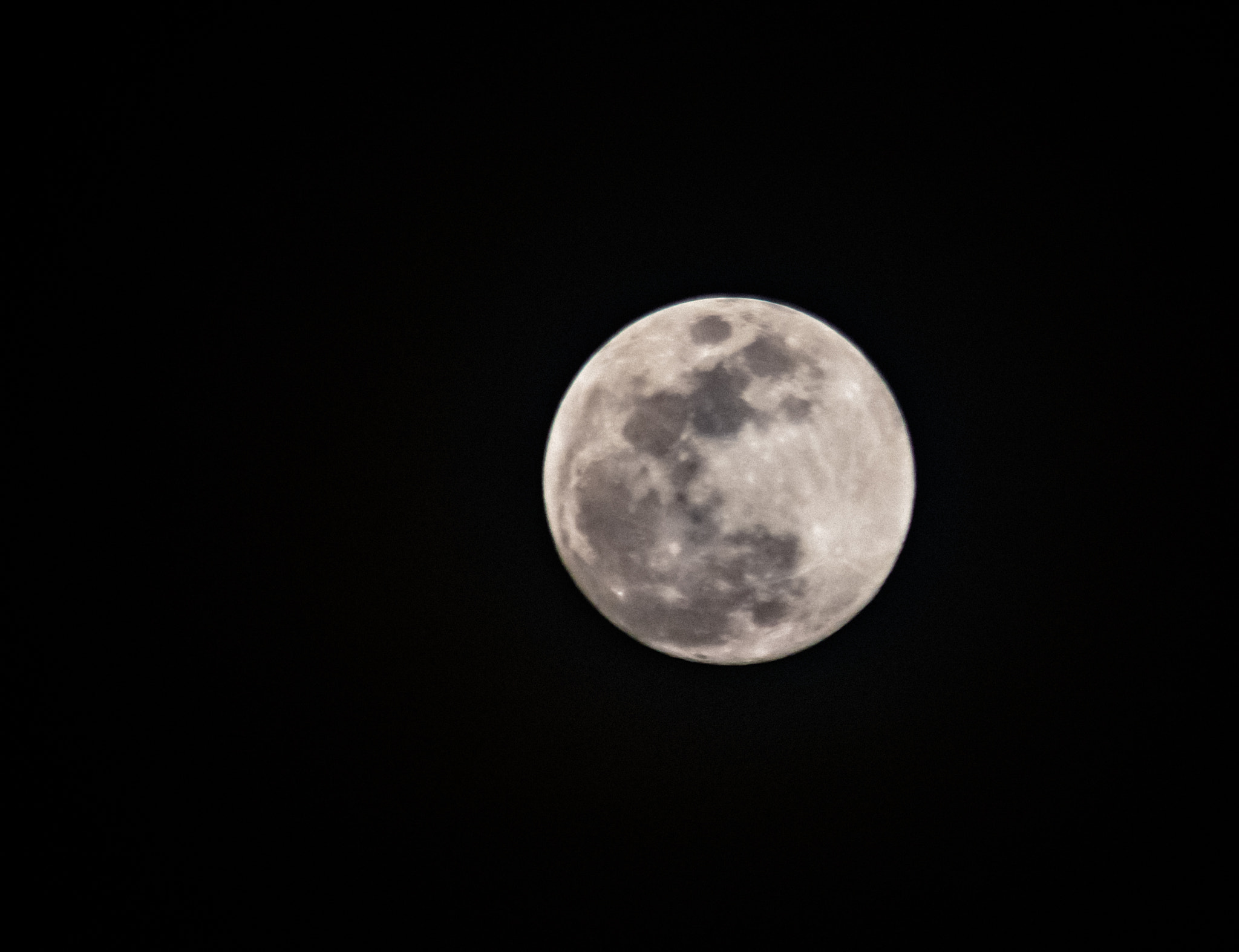 Sigma 150-500mm F5-6.3 DG OS HSM sample photo. Tp photography