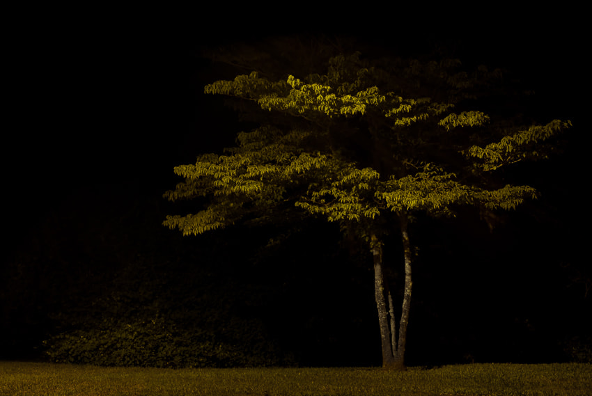 Pentax K10D sample photo. A hot, humid night photography