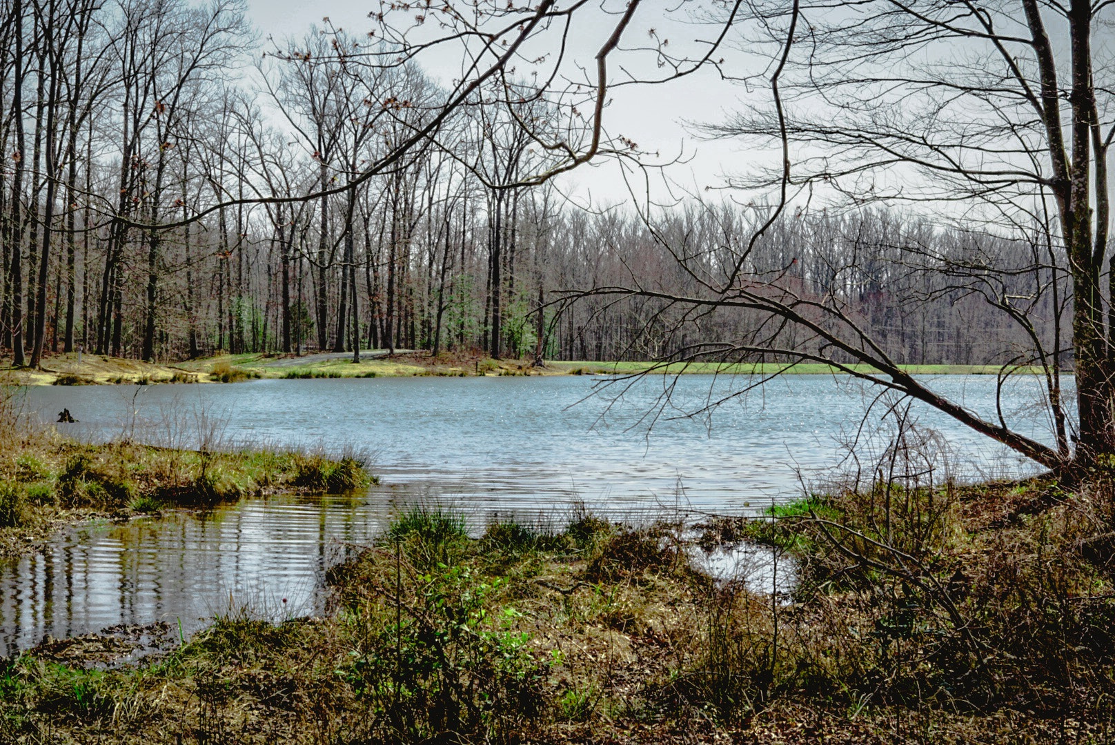 Sony FE 50mm F1.8 sample photo. Winter lake photography