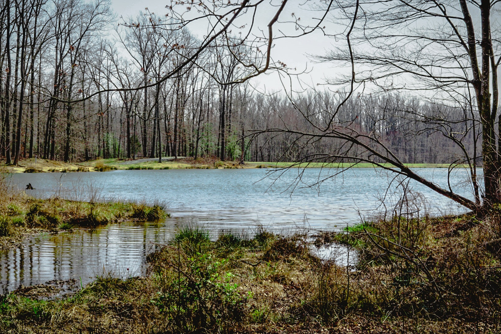 Sony a5100 sample photo. Winter lake photography