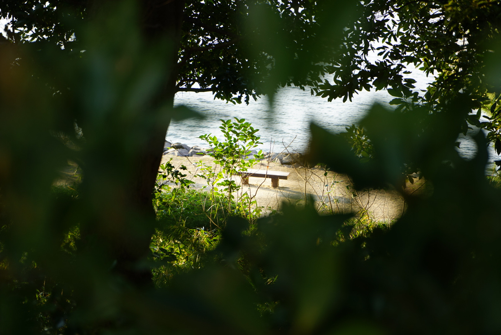 Sony MODEL-NAME sample photo. Waiting photography