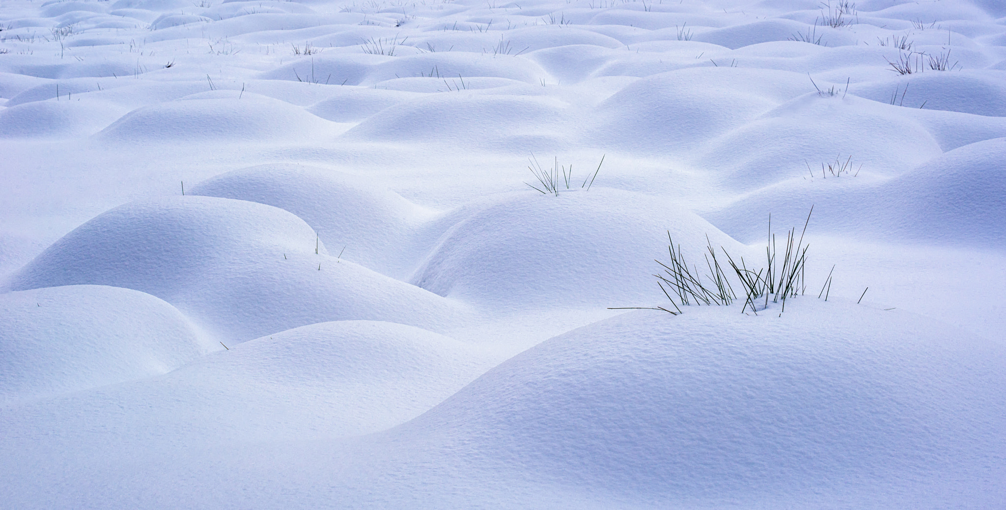 Nikon D610 + Nikon AF-S Nikkor 70-200mm F4G ED VR sample photo. Snow humps photography