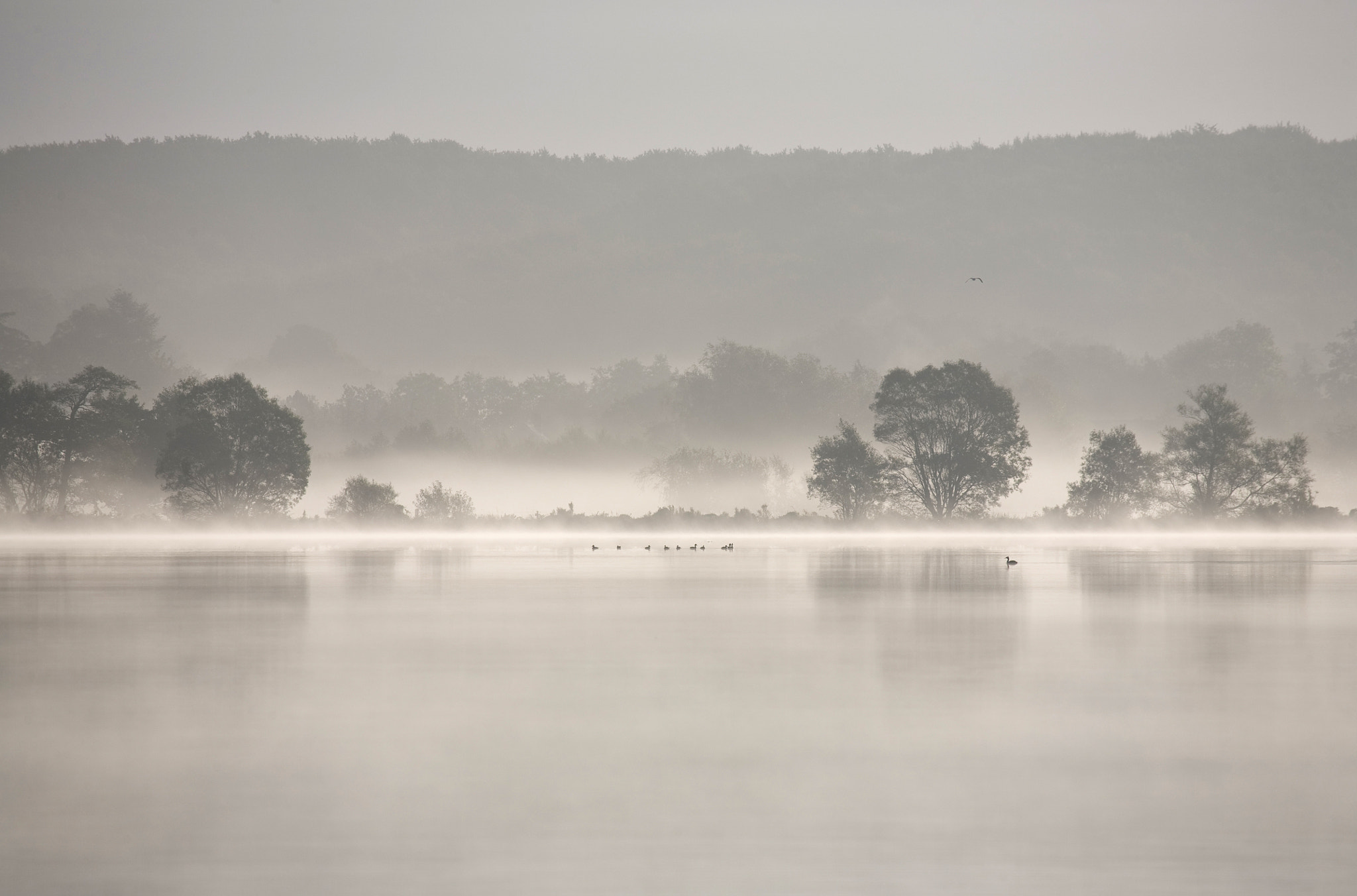 Canon EOS 5D sample photo. Beautiful morning light over lake with fog photography