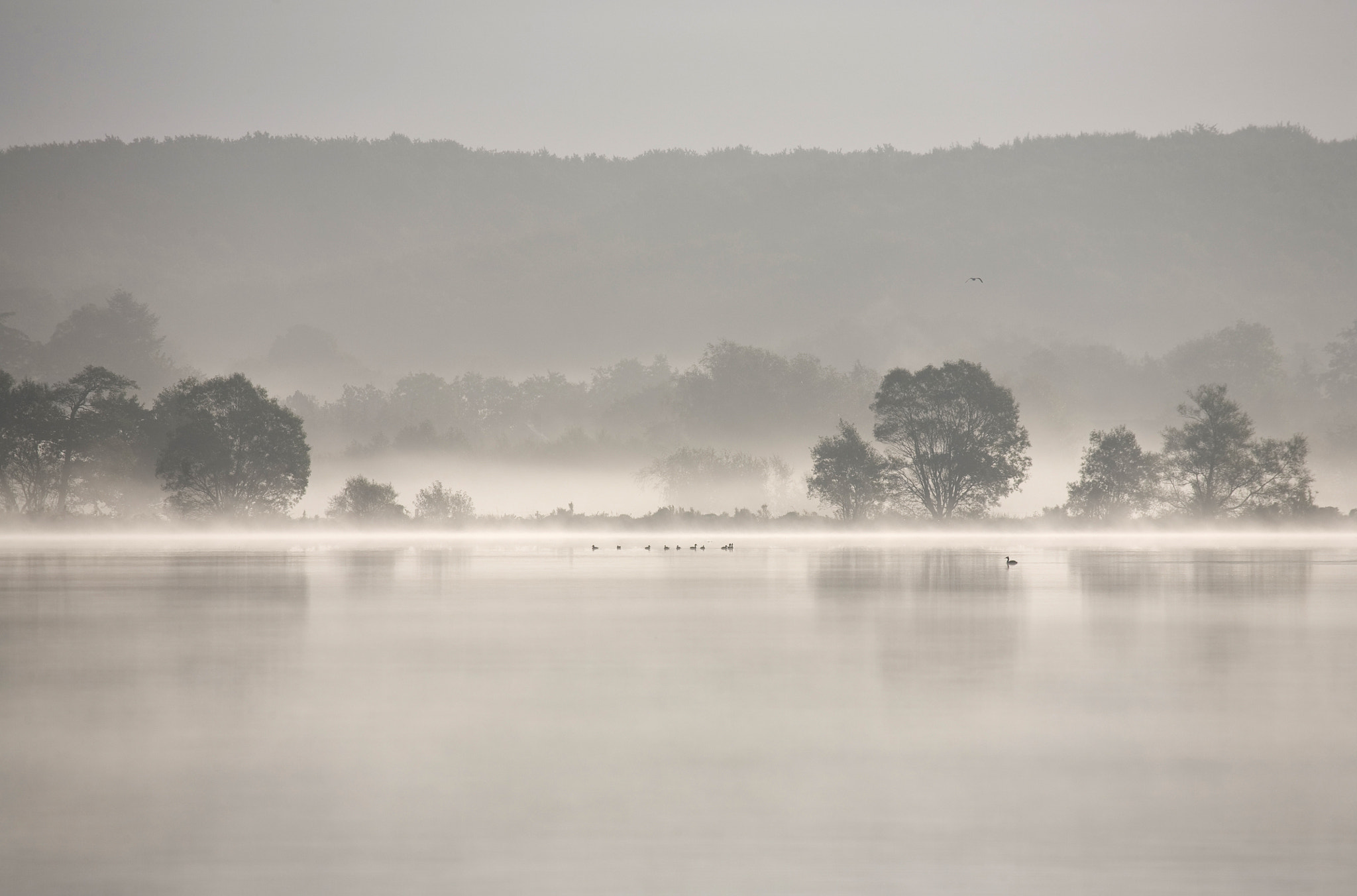 Canon EF 100-400mm F4.5-5.6L IS USM sample photo. Beautiful morning light over lake with fog photography