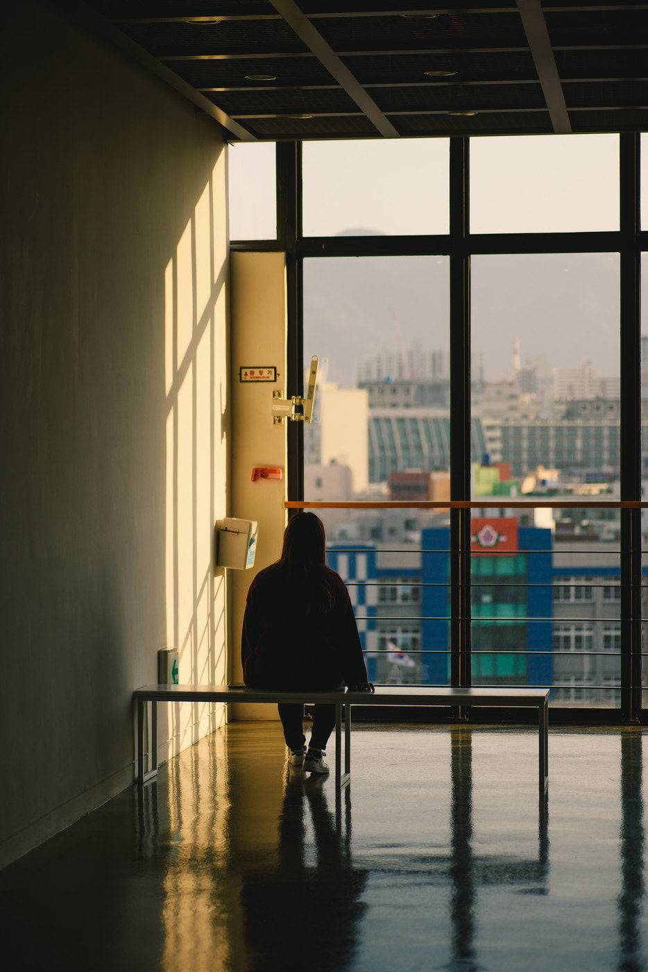 Nikon D810 sample photo. Inside window photography