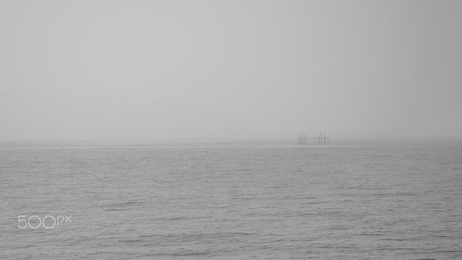 Nikon D700 sample photo. Soft photography