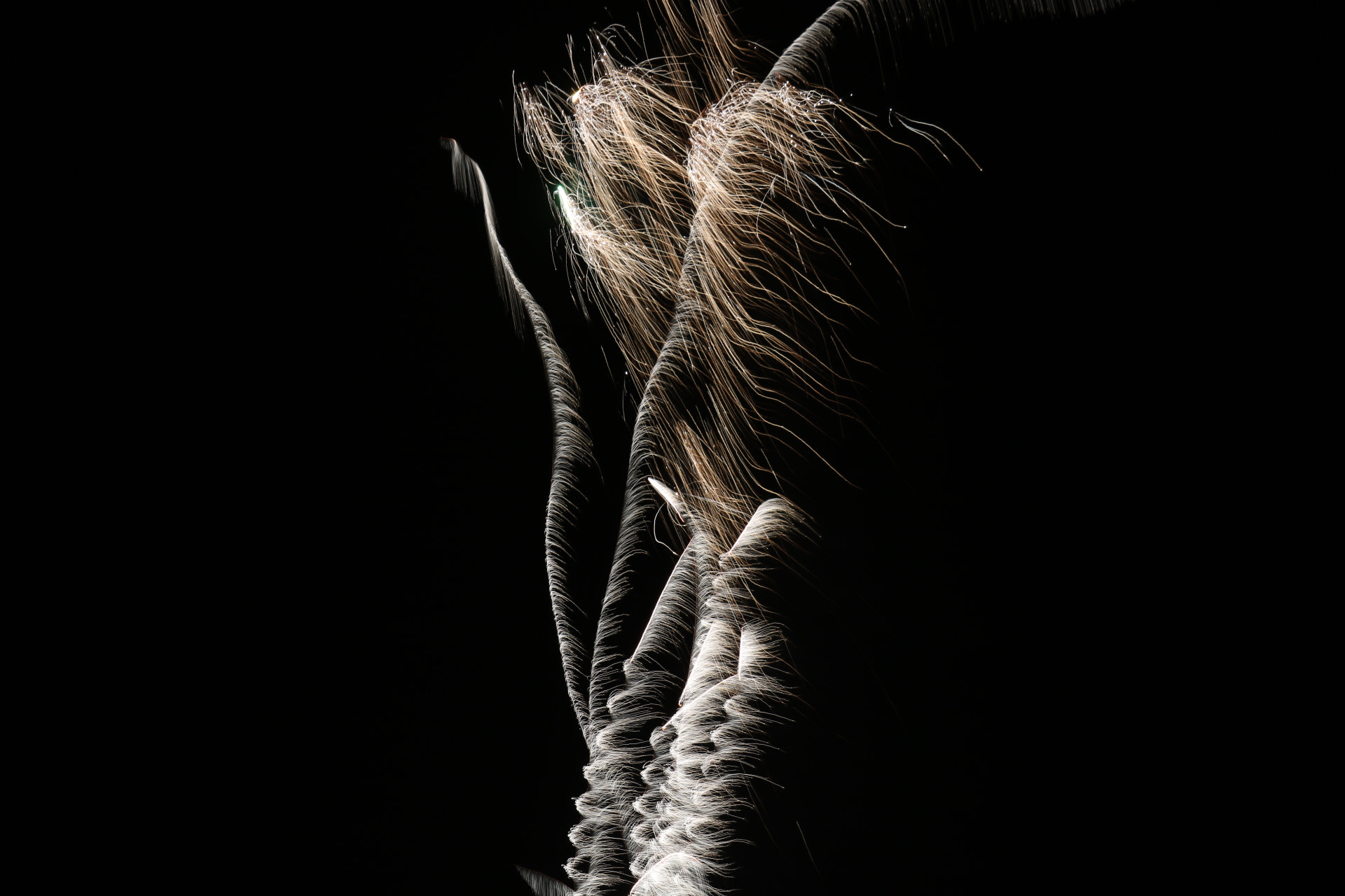 Canon EF-S 55-250mm F4-5.6 IS STM sample photo. 燃 photography