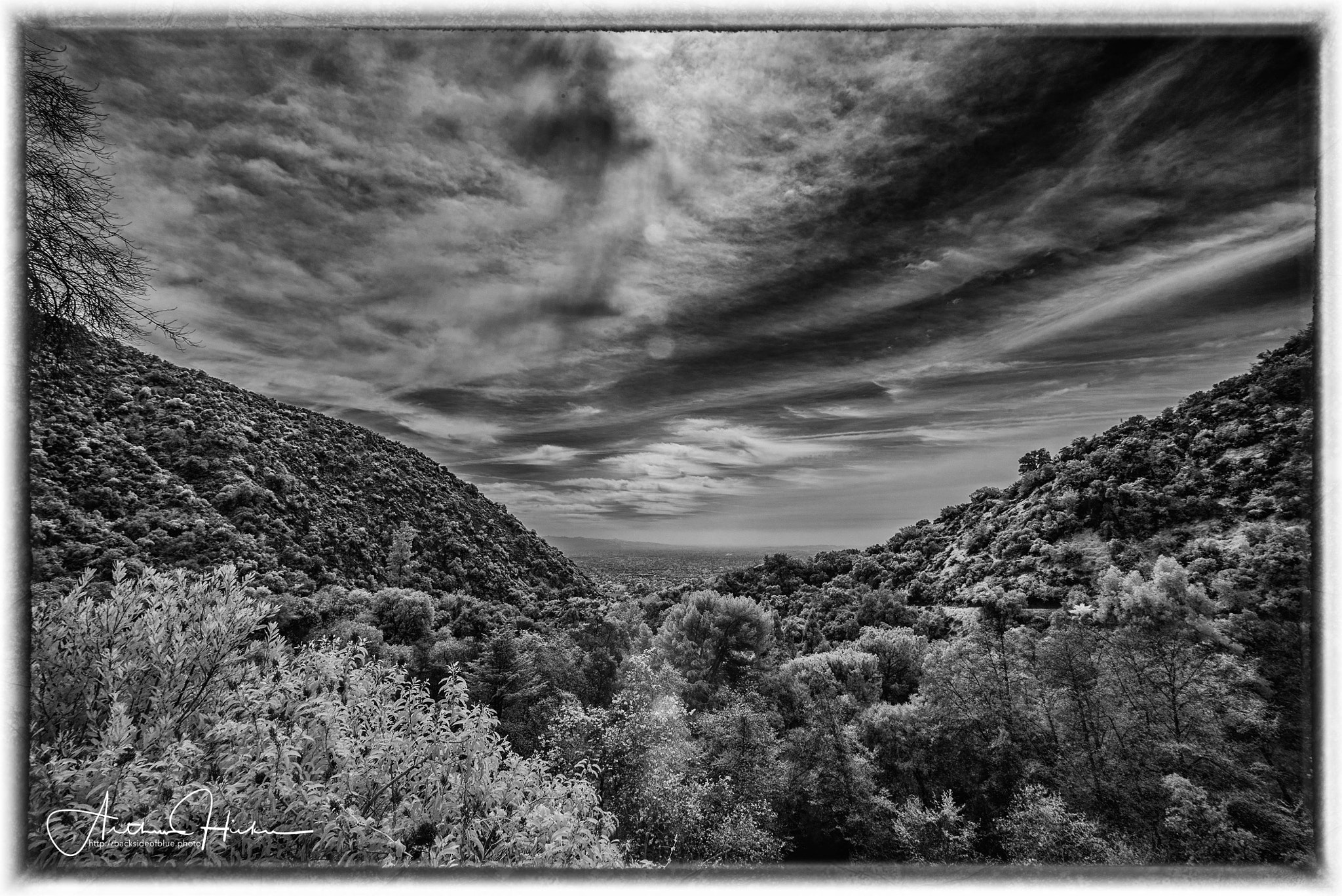 Sony a7S + Sony Vario-Tessar T* FE 16-35mm F4 ZA OSS sample photo. Monrovia canyon infrared b&w photography