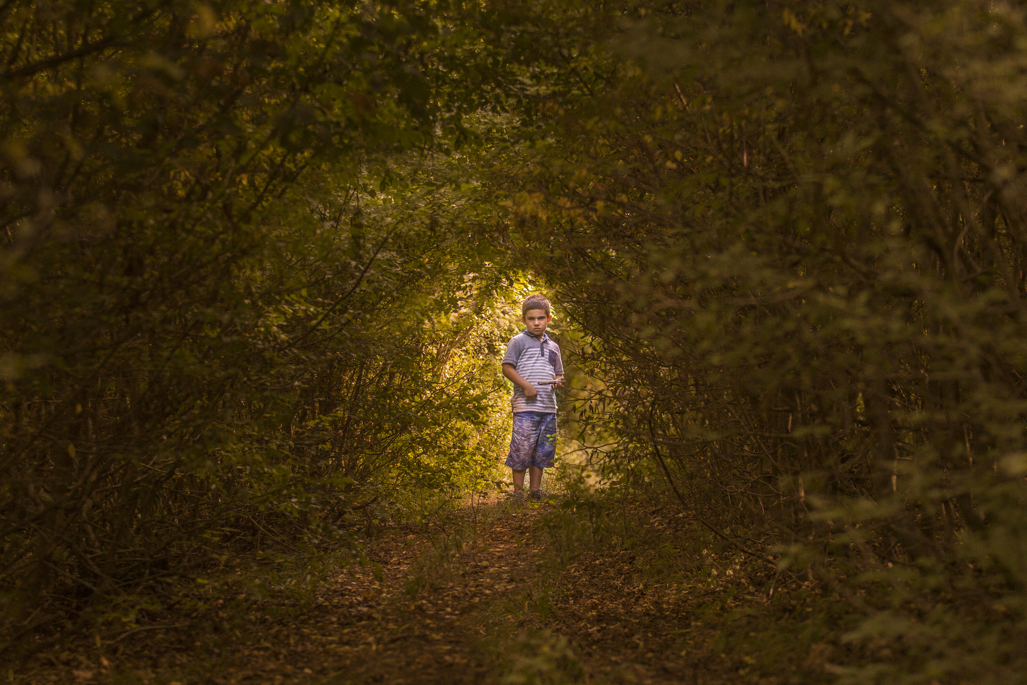 Canon EF 80-200mm f/2.8L sample photo. Boy in to the woods photography