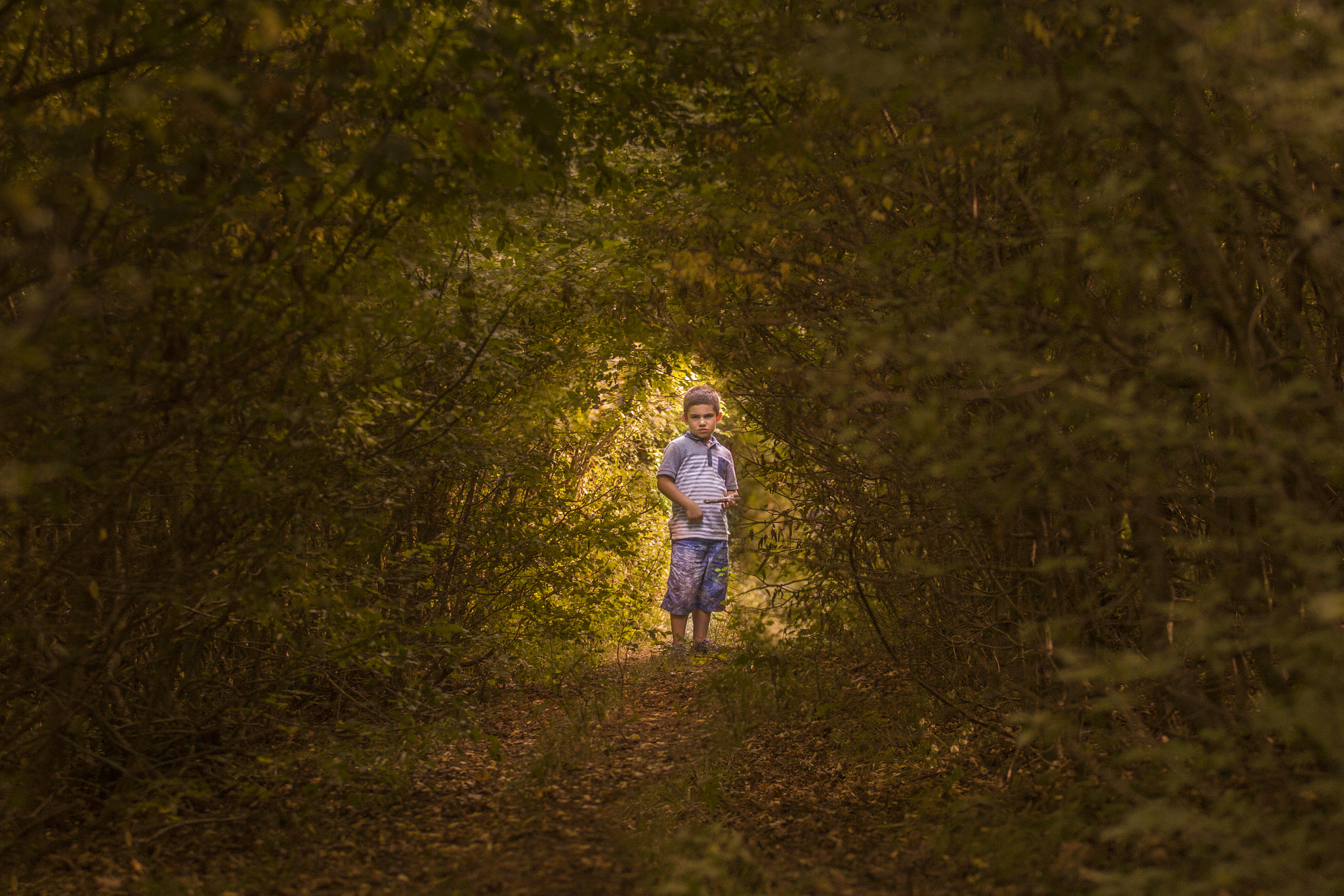 Canon EOS 60D + Canon EF 80-200mm f/2.8L sample photo. Boy in to the woods photography
