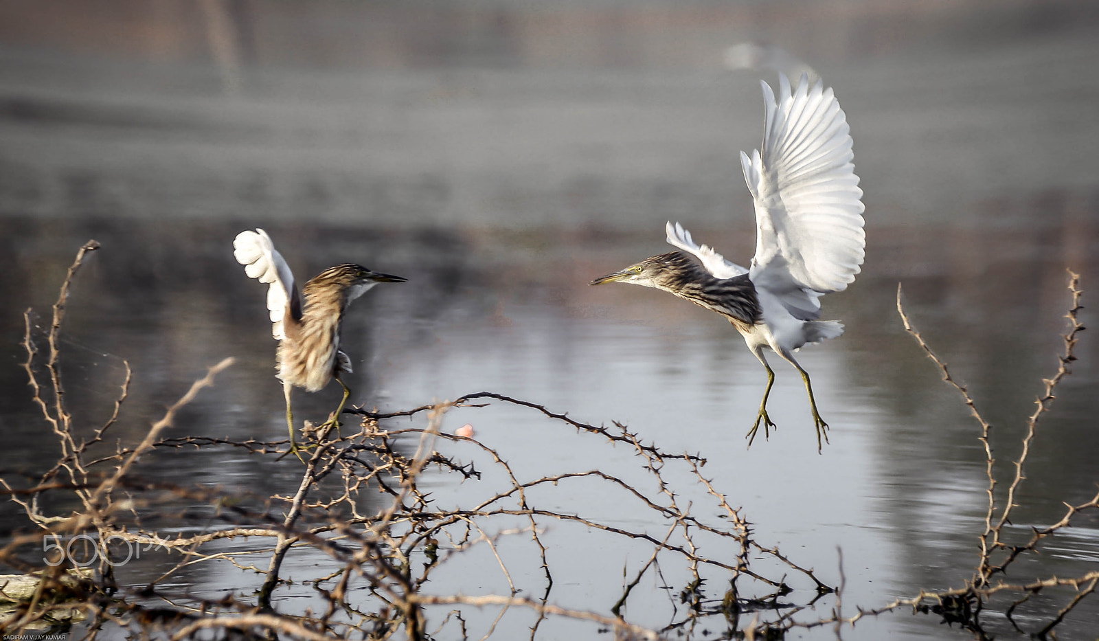 Nikon D600 sample photo. Edit photography