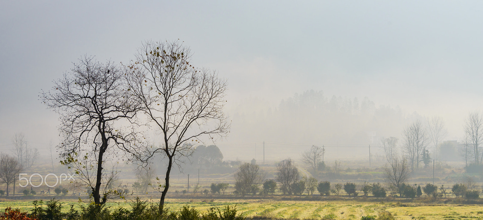 Nikon D800E sample photo. Pingshan village photography