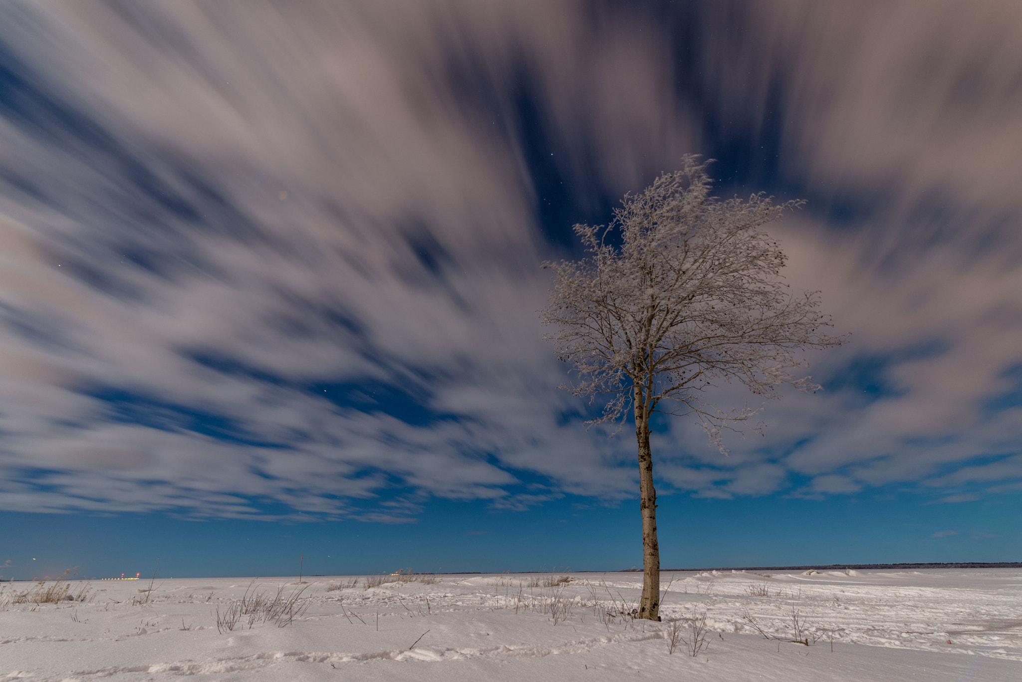 Nikon D610 + Tamron SP 15-30mm F2.8 Di VC USD sample photo. A lonely tree photography