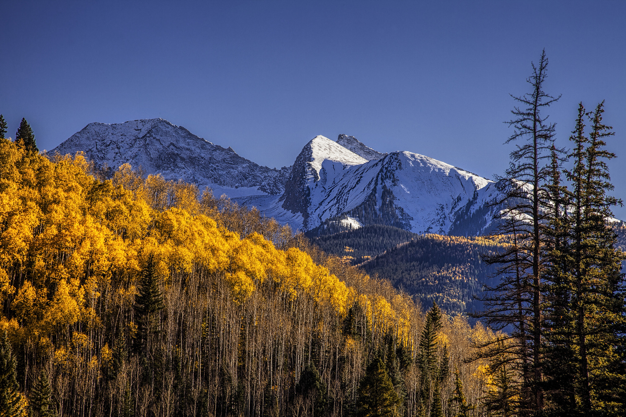 Canon EF 100-300mm F4.5-5.6 USM sample photo. Colorado aspens at autumn photography