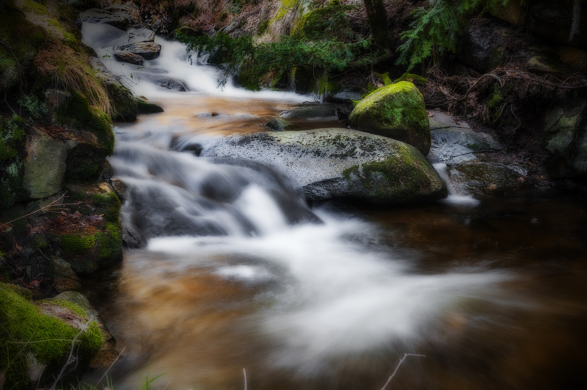 Sigma 17-50mm F2.8 EX DC OS HSM sample photo. 0909890canen photography