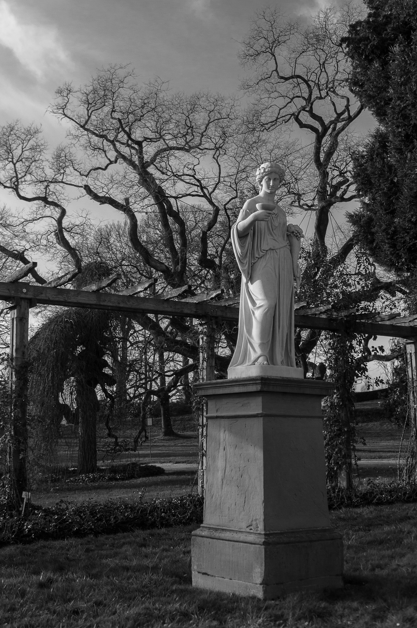 Sony Alpha NEX-6 + Sony E PZ 18-105mm F4 G OSS sample photo. Statue in the park photography